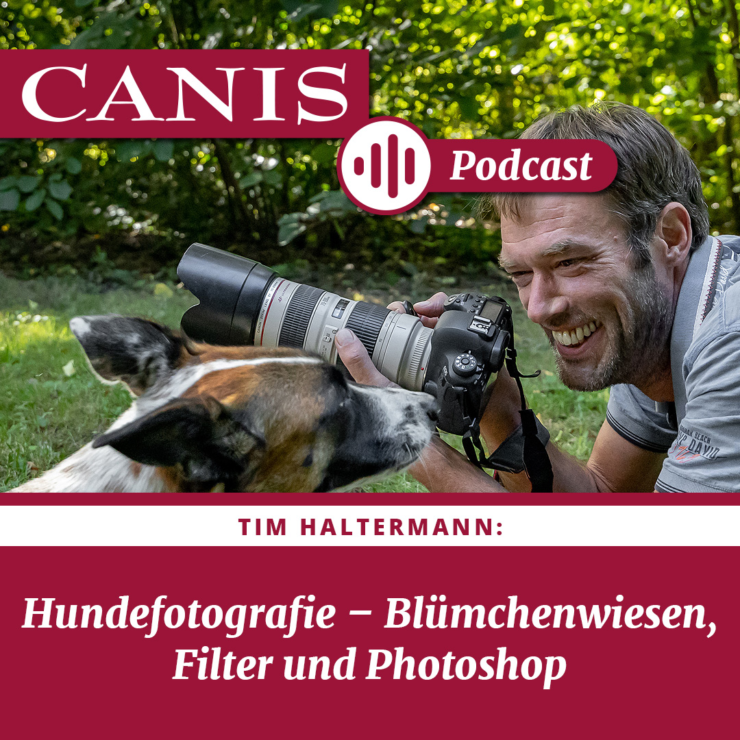 Der CANIS-Podcast – Hundeexpert:innen ausgefragt