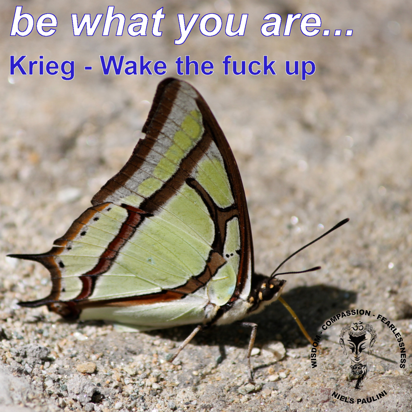 be what you are - Dein Podcast für spirituelle Krieger