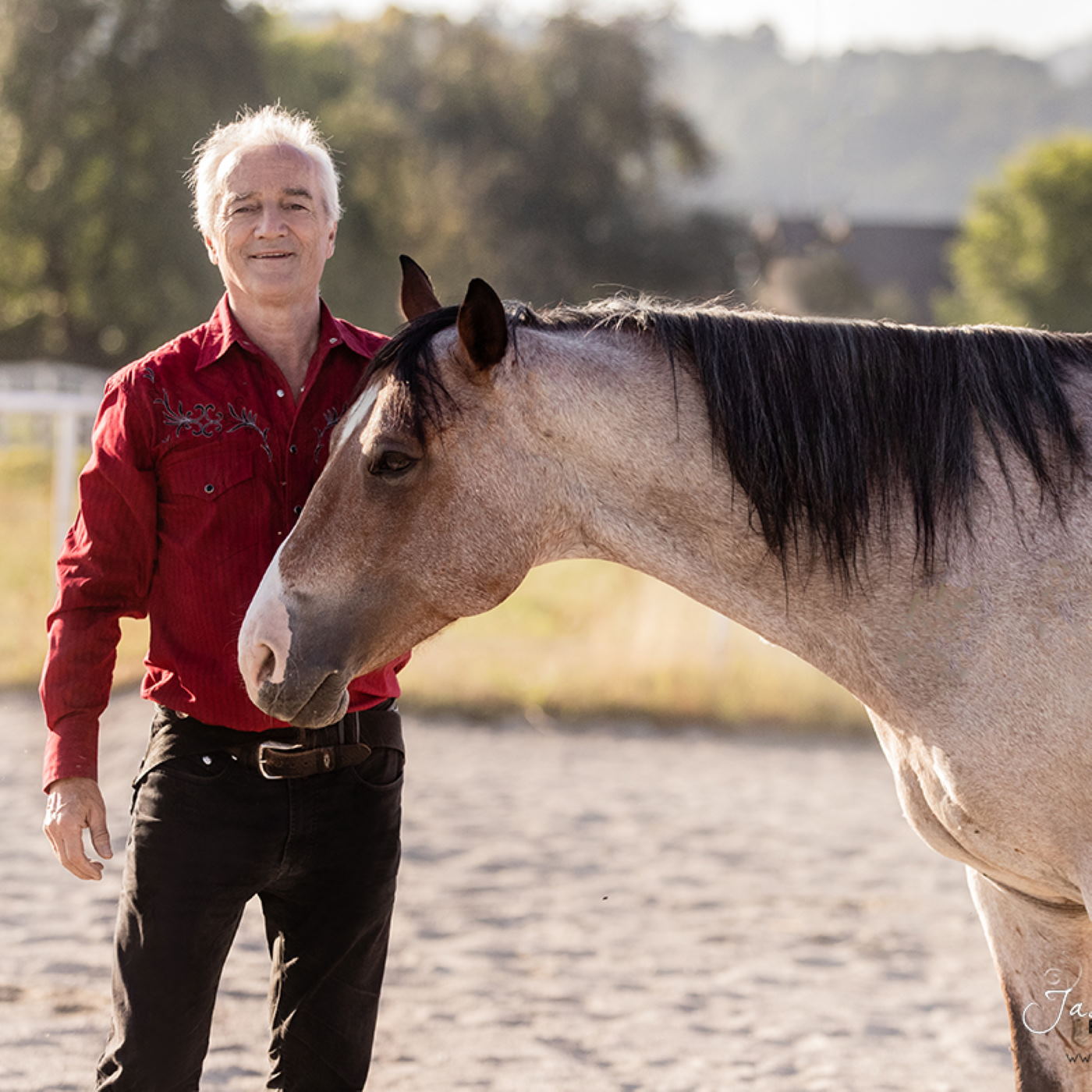 Wie erreichst du, dass dich dein Pferd mag? Wie erreichst du, dass dich dein Pferd mag?
