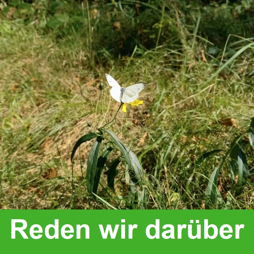 Jakobspilger in Leverkusen