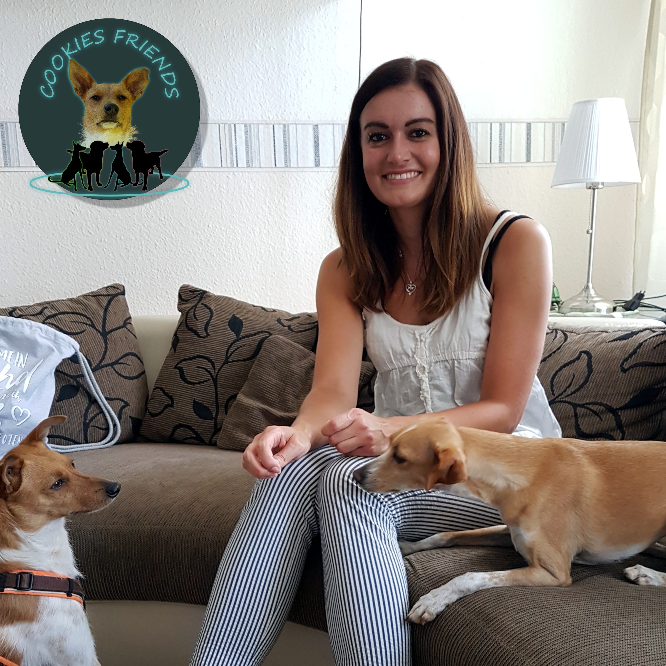 Cookies Friends. Der Podcast für Tierschutz-Hunde