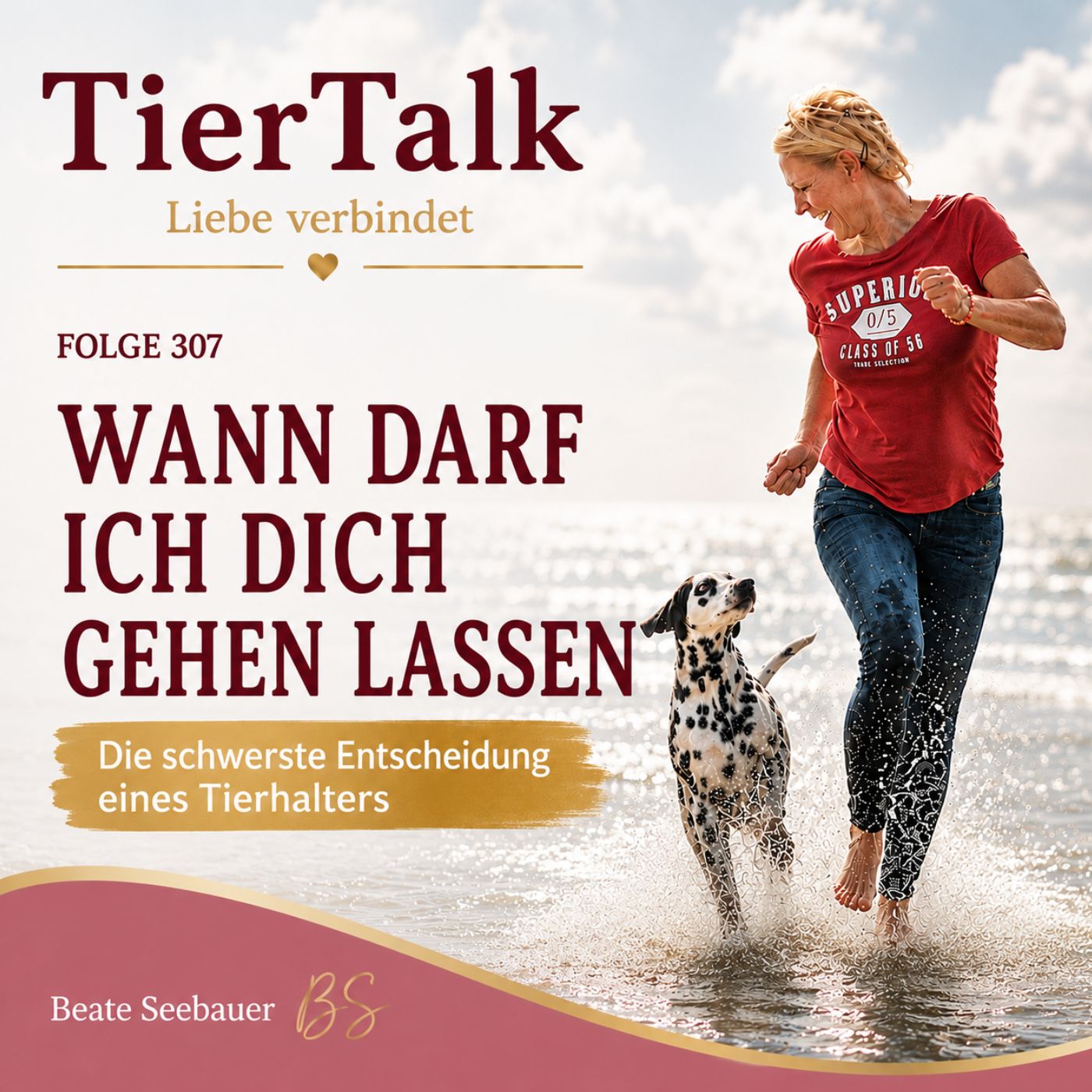 308. Wann darf ich dich gehen lassen episode artwork