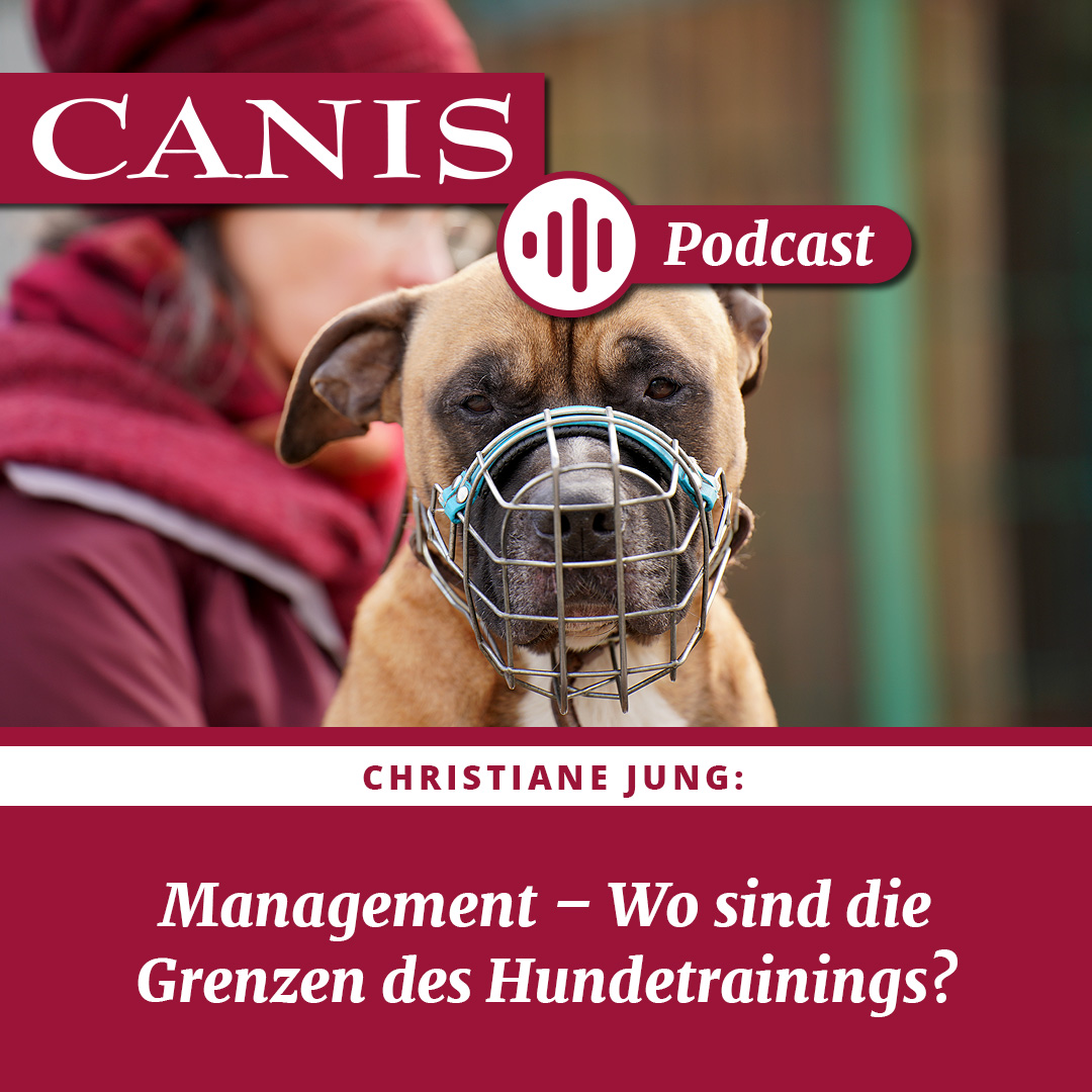 Management – Wo sind die Grenzen des Hundetrainings?