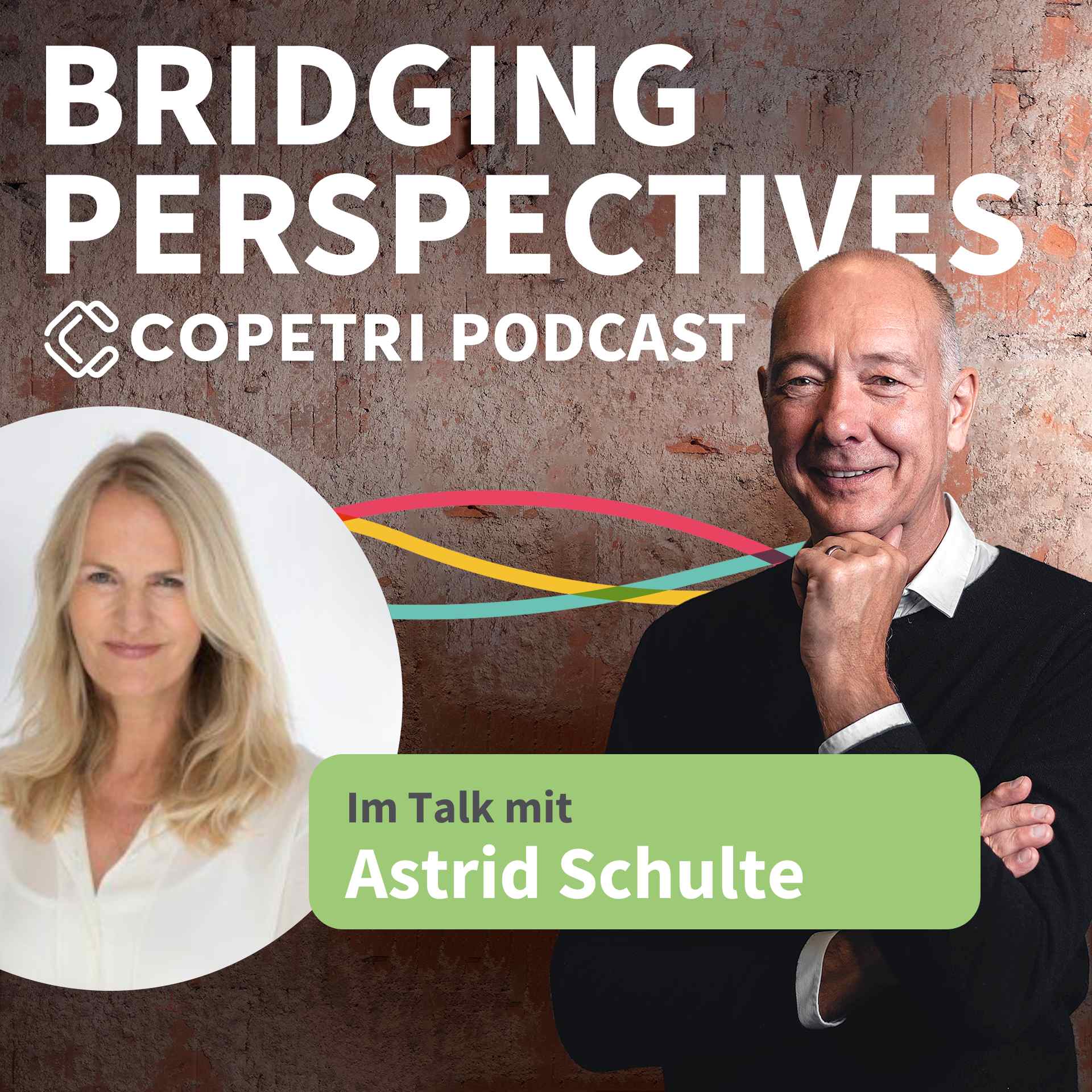 Bridging Perspectives - COPETRI Podcast