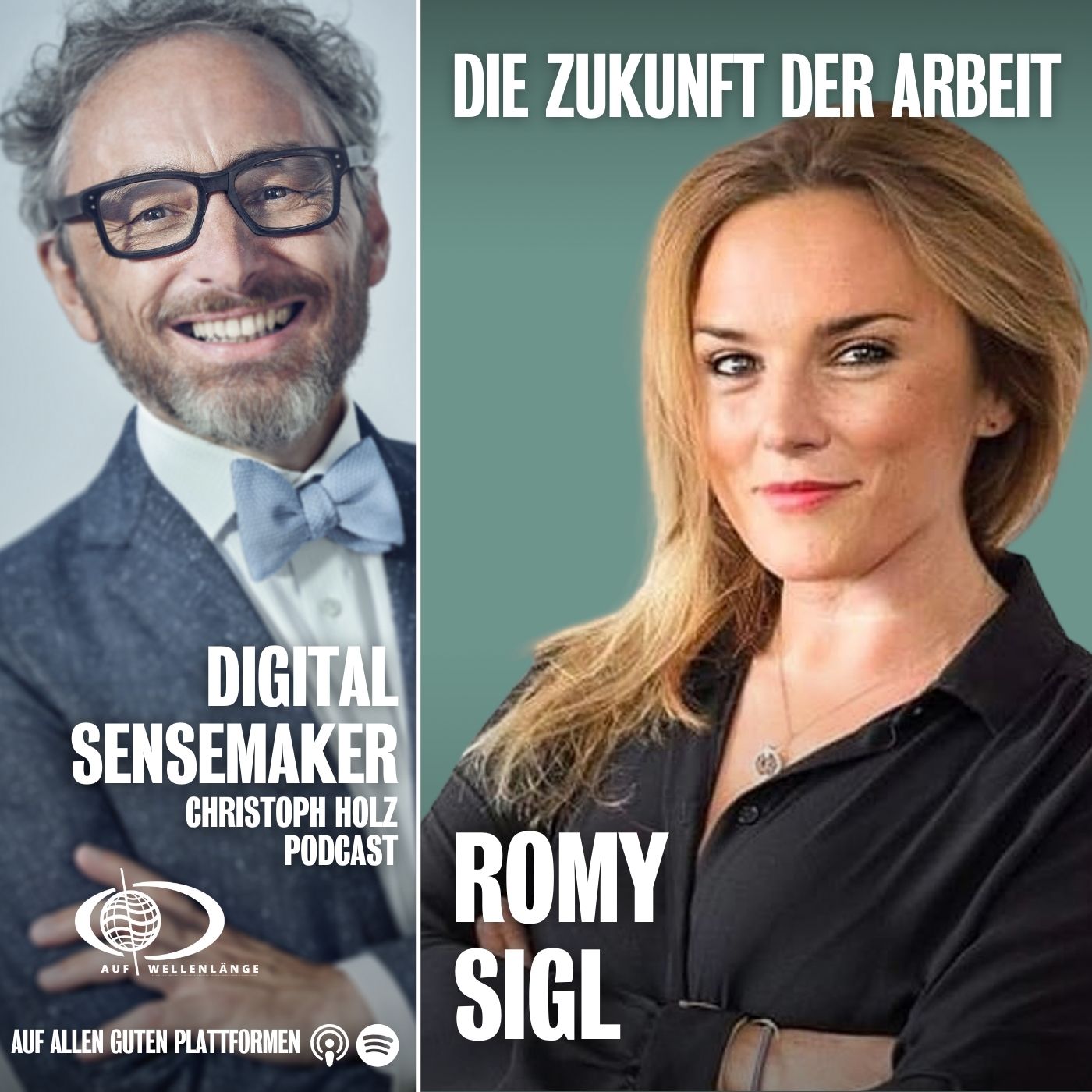 Digital Sensemaker | Der Podcast für Digitalisierung & Zukunft
