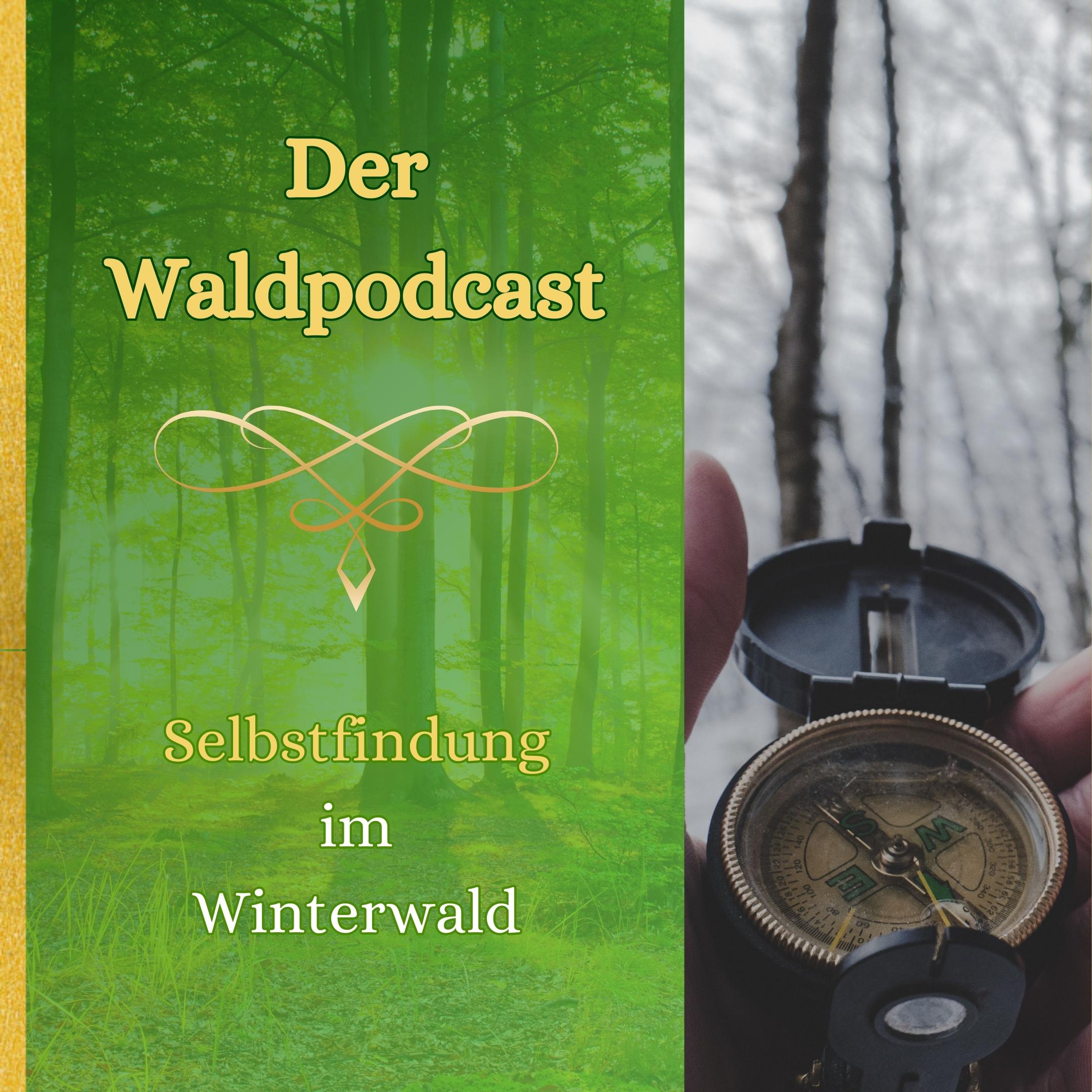 Waldpodcast - für deine innere & äußere Natur