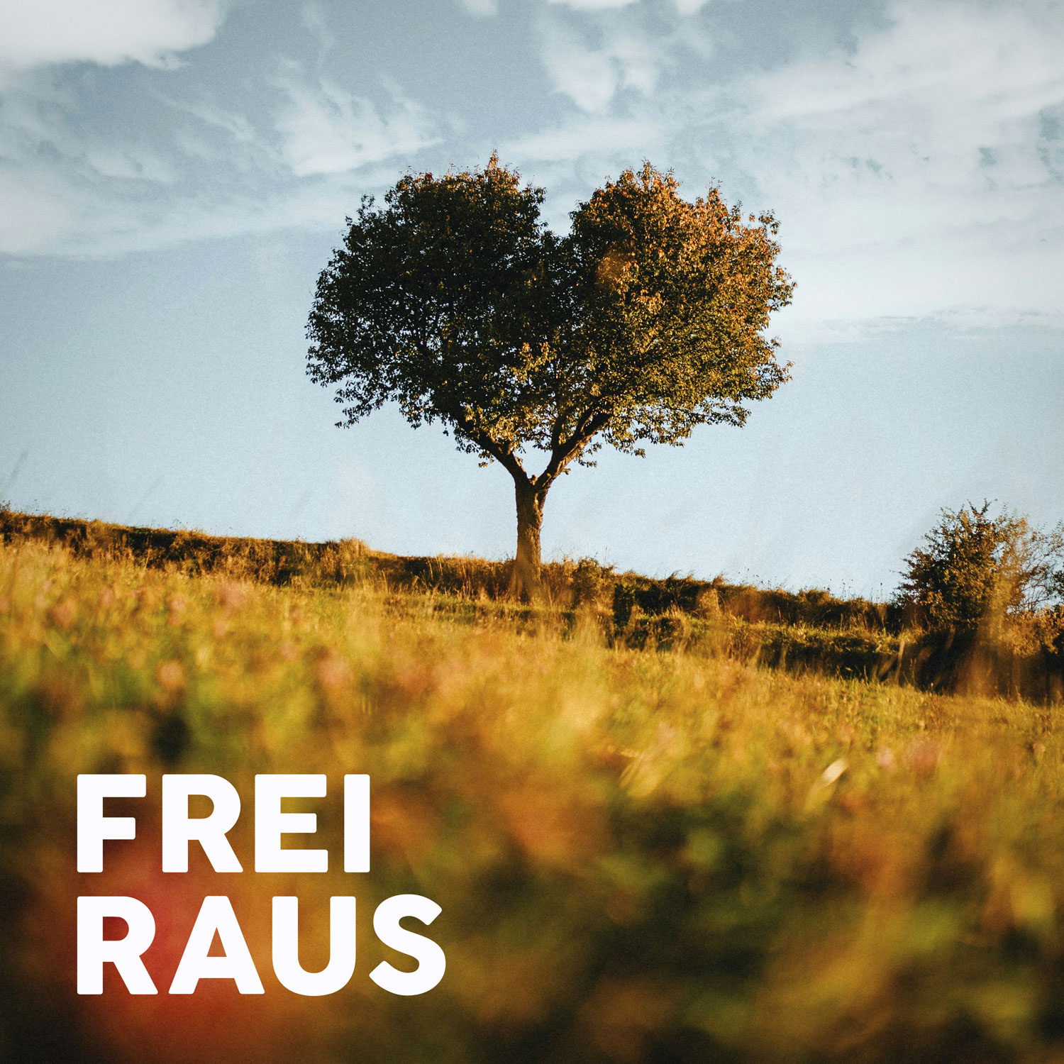 Abenteuer neu verstehen – und was Collien Fernandes damit zu tun hat