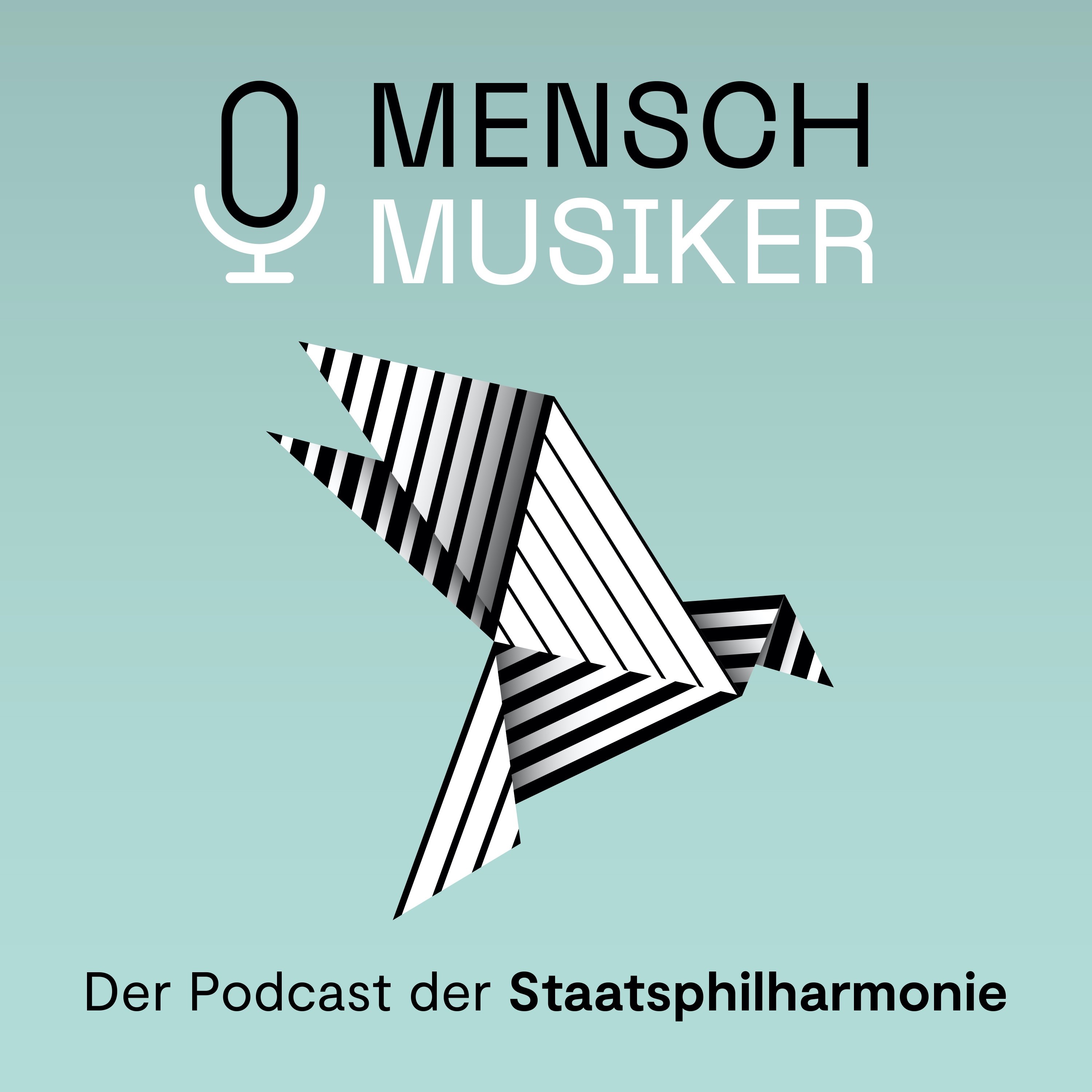 Mensch Musiker*in