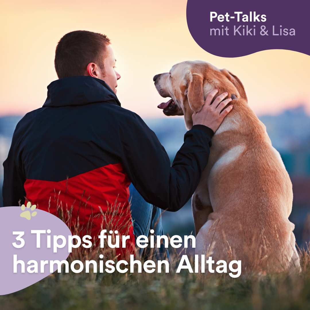 Pet-Talks mit Kiki & Lisa - der Hunde-Podcast von DeineTierwelt