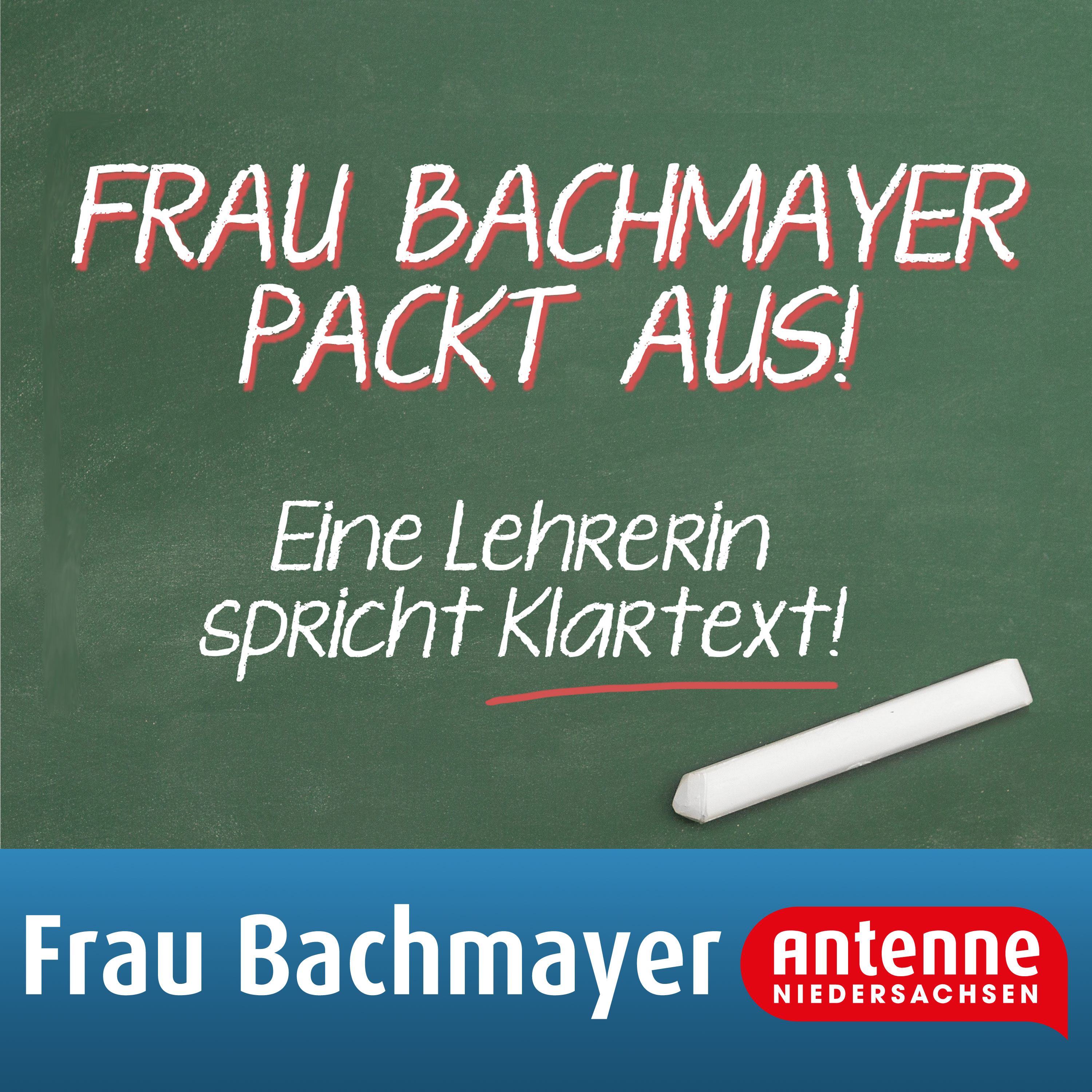 Lehrer Als Quereinsteiger Frau Bachmayer Packt Aus Podcast