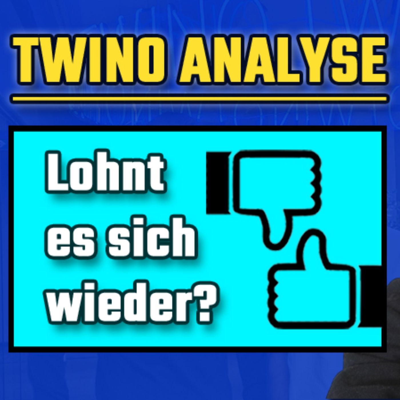 TWINO Erfahrungen 2026: Jetzt Investieren? (Was ich mache!)