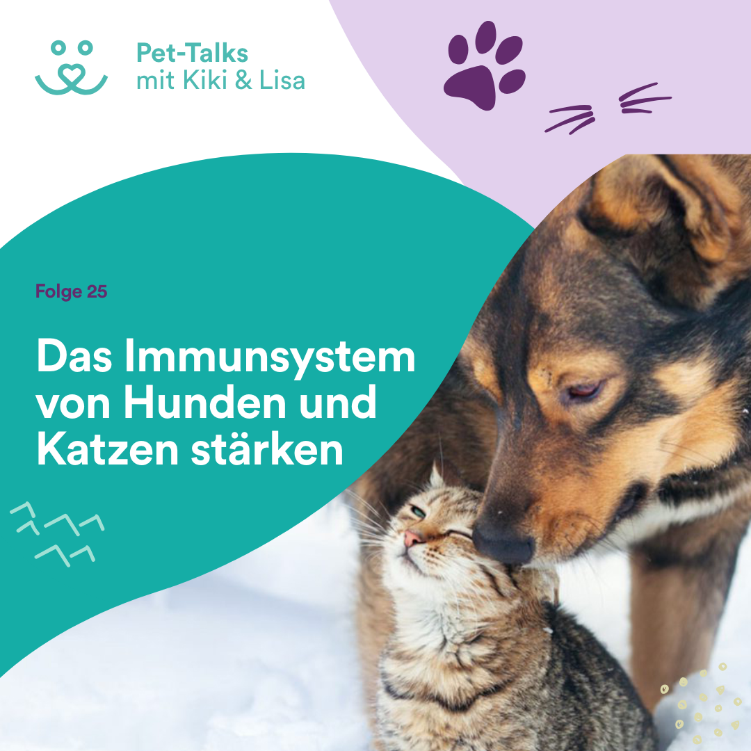 Pet-Talks mit Kiki & Lisa - der Hunde-Podcast von DeineTierwelt