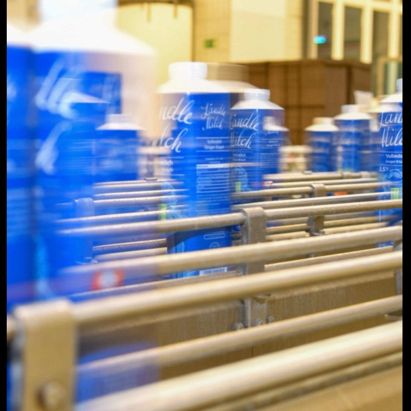 Vorarlberg Milch im Krisenmodus: Butter, Pudding und Millionenverluste