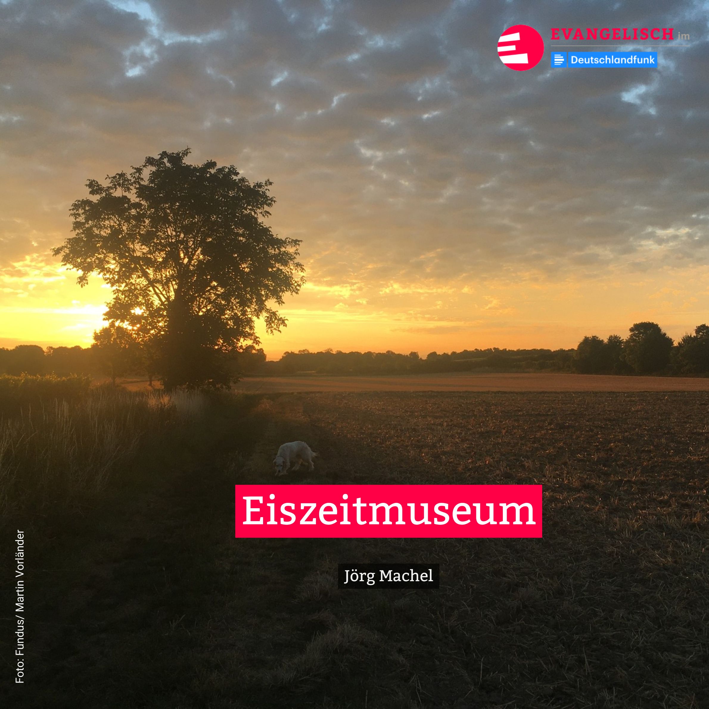 Eiszeitmuseum episode artwork