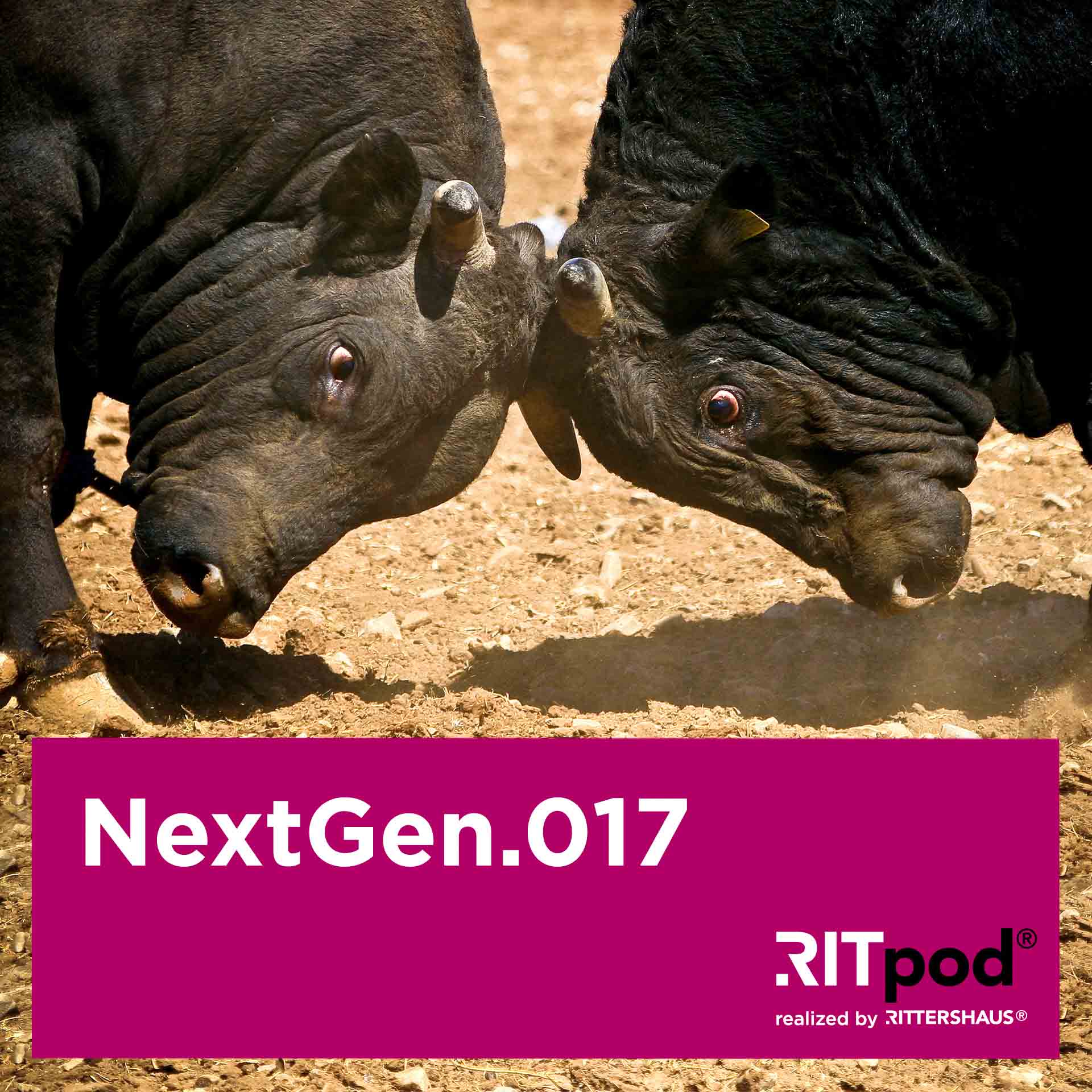 NextGen - Legal Insights zu den Themen Nachfolge, Vermögen und Stiftungen