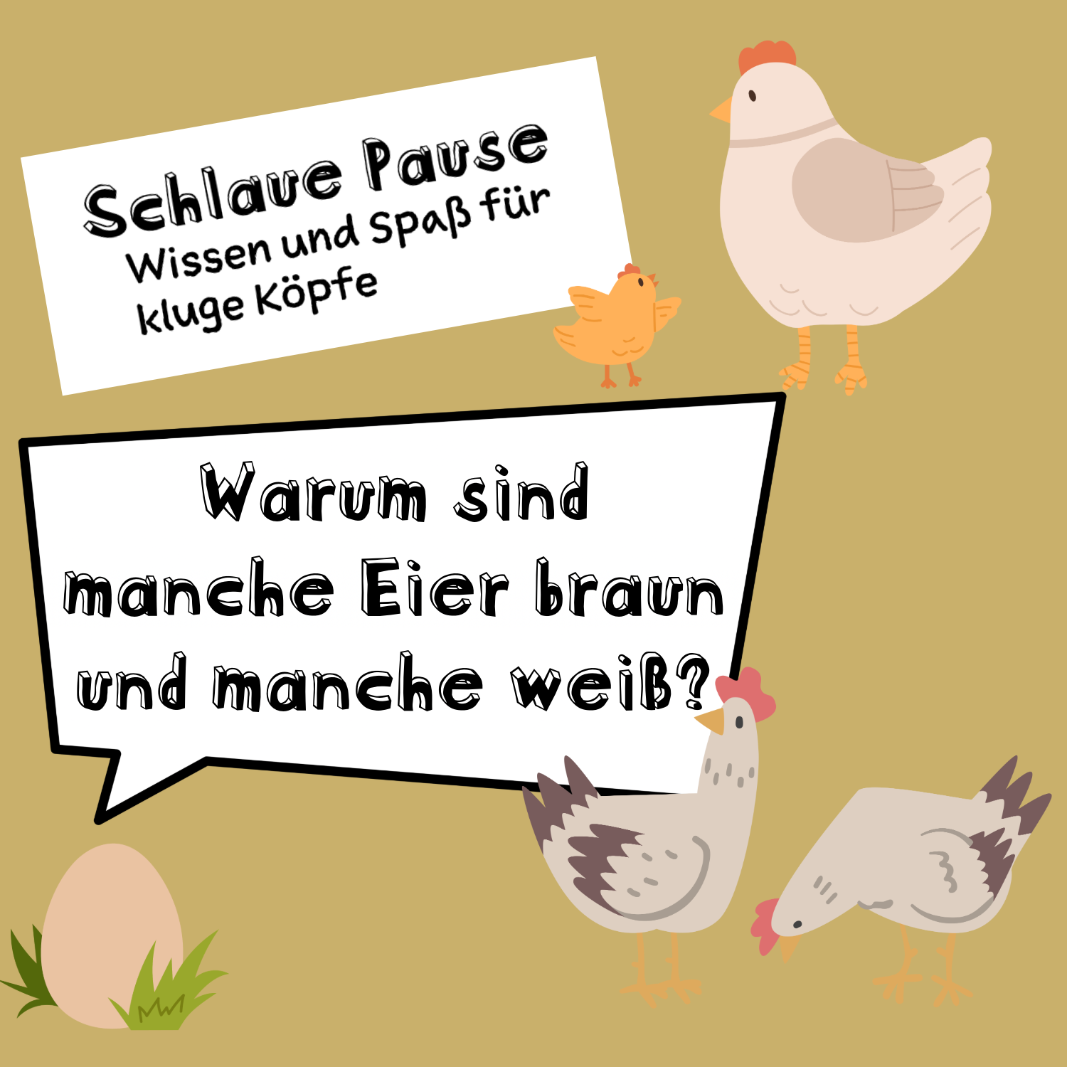 SCHLAUE PAUSE Kinderpodcast