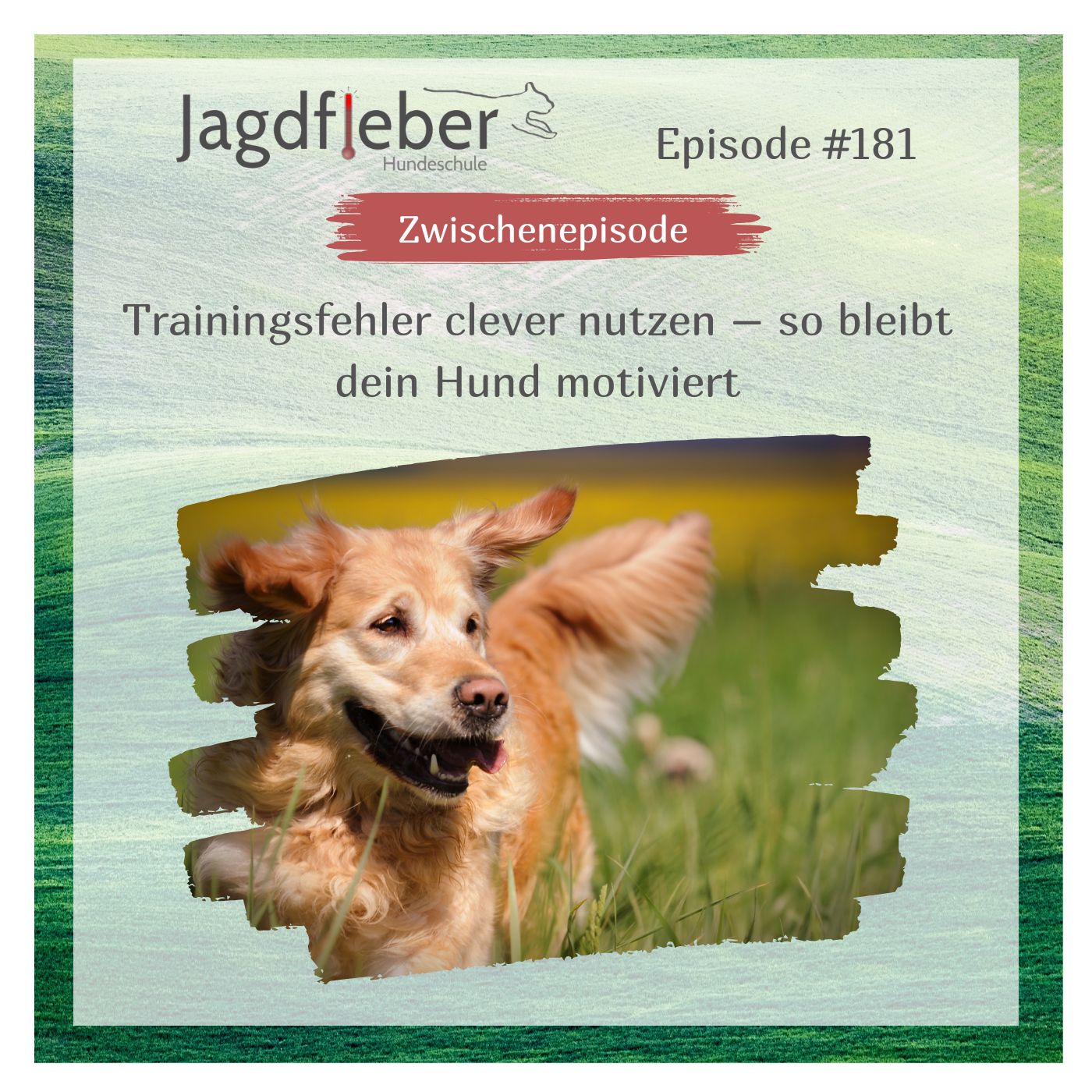 P181: Trainingsfehler clever nutzen – so bleibt dein Hund motiviert
