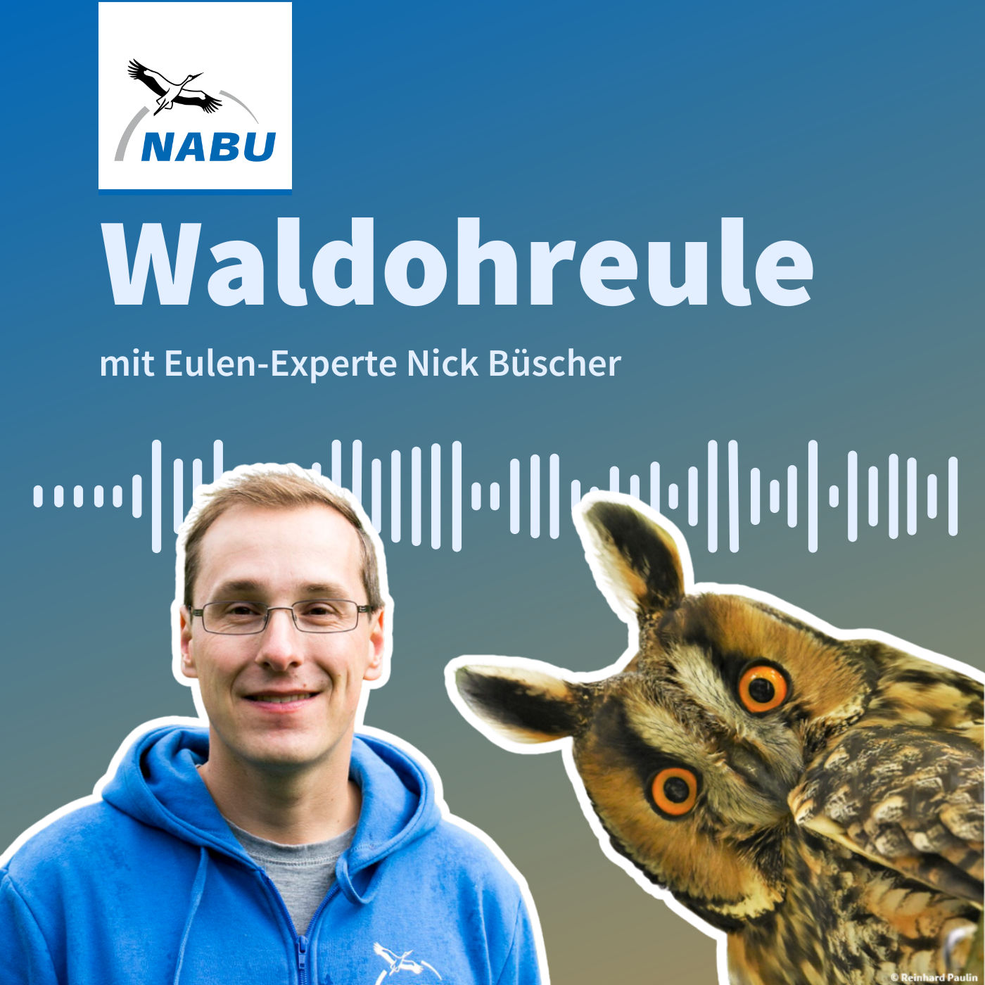 Waldohreule - NABU Projekt-Podcast