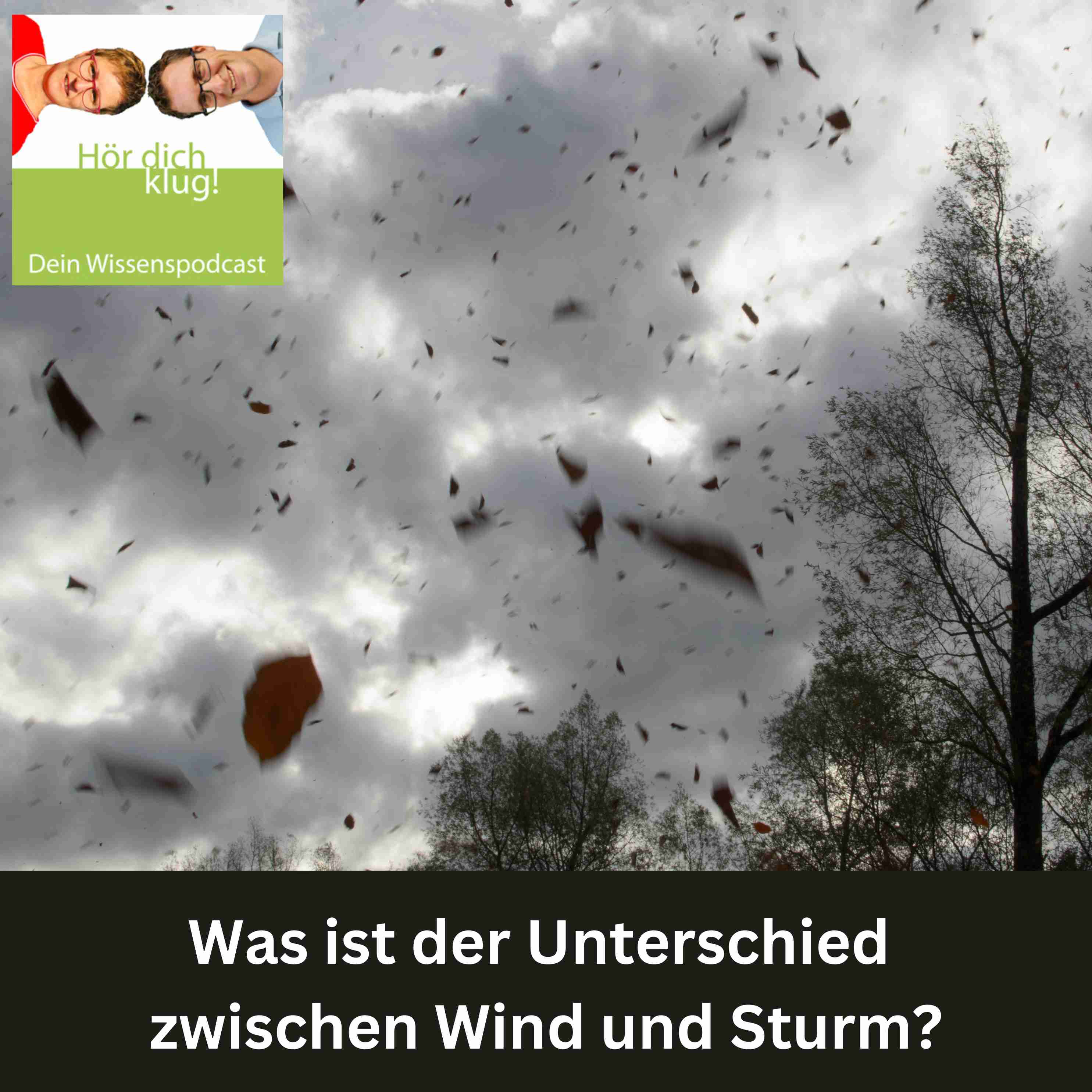 Was ist der Unterschied zwischen Wind und Sturm?