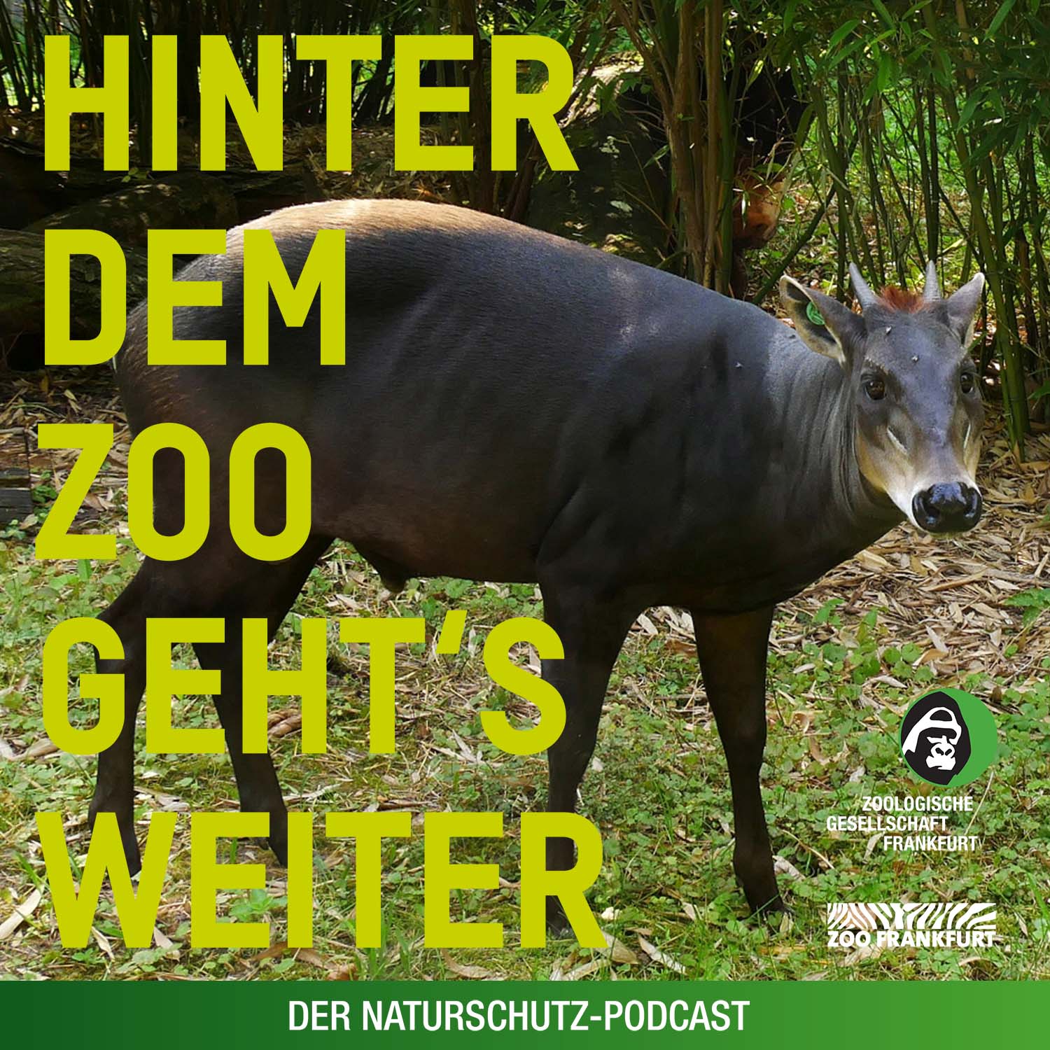 Hinter dem Zoo geht\'s weiter - Der Naturschutzpodcast aus Frankfurt