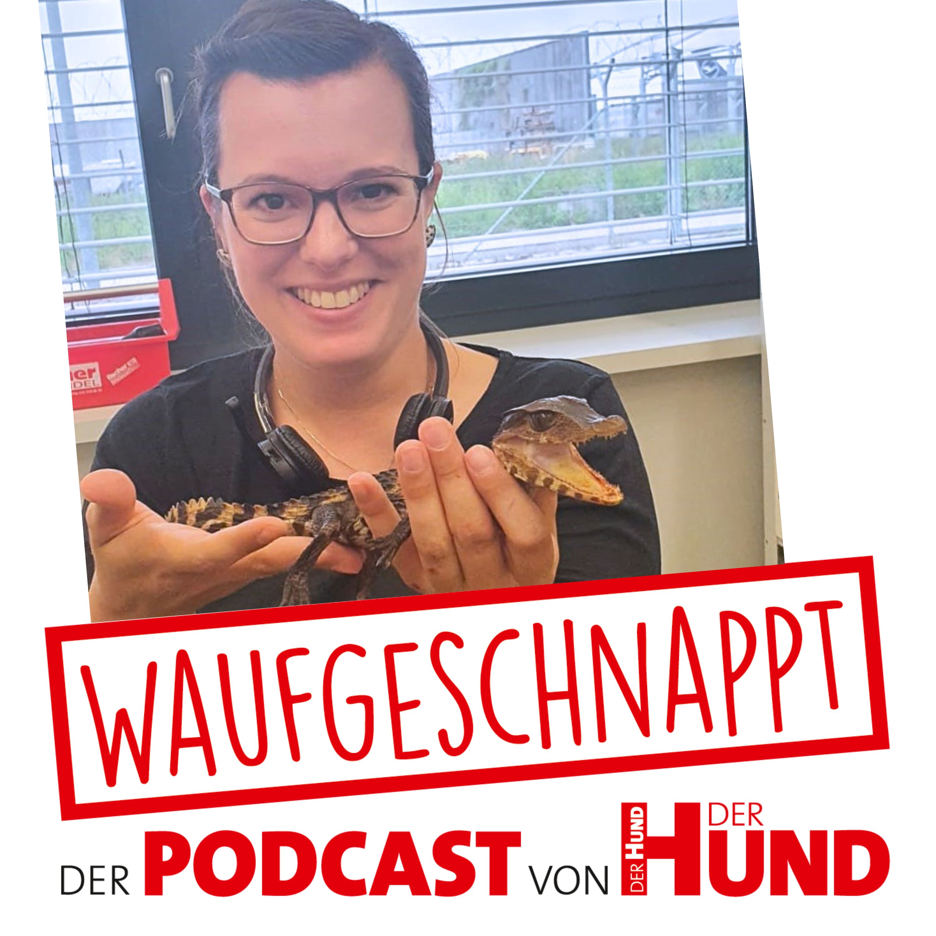 Waufgeschnappt - der Podcast von DER HUND