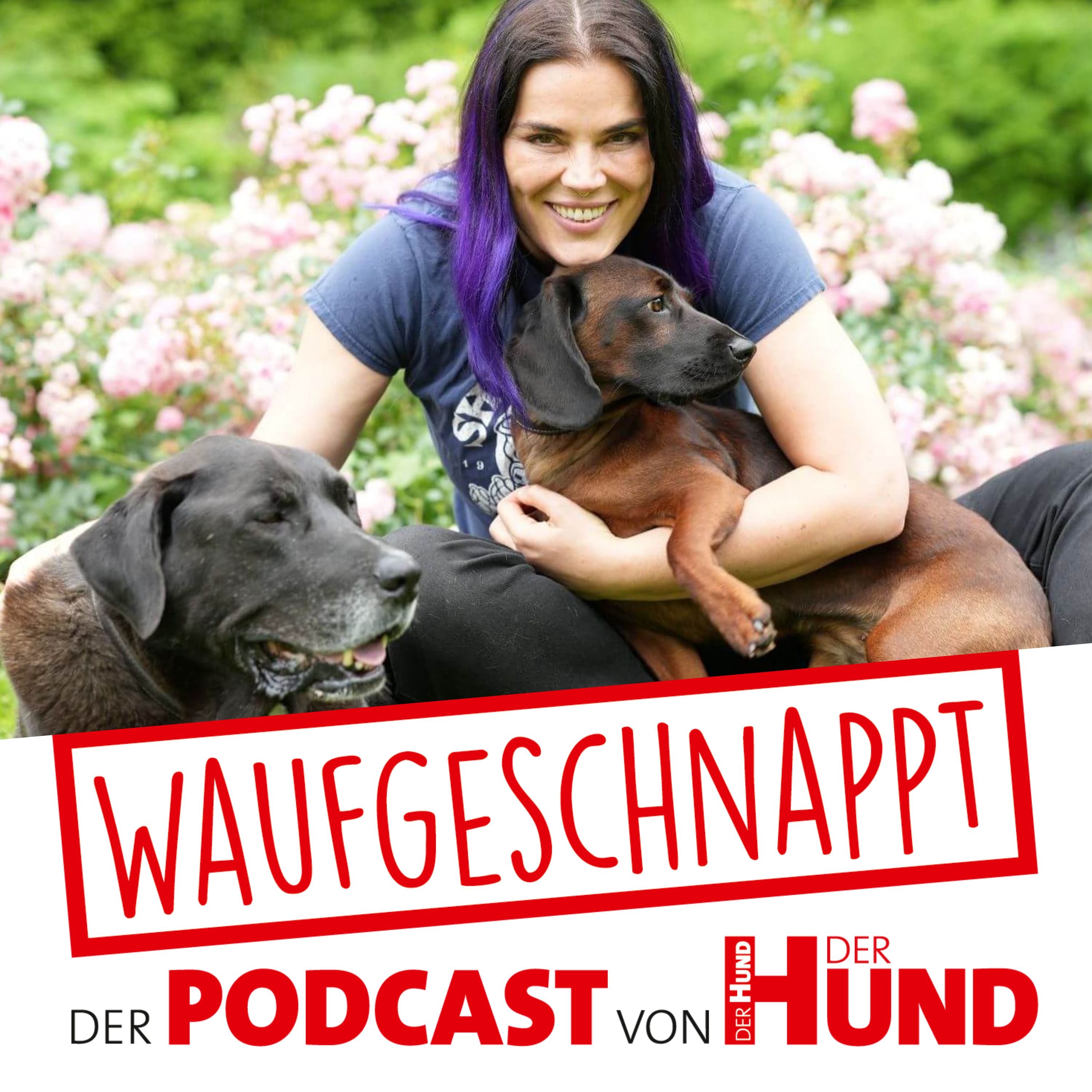 Waufgeschnappt - der Podcast von DER HUND