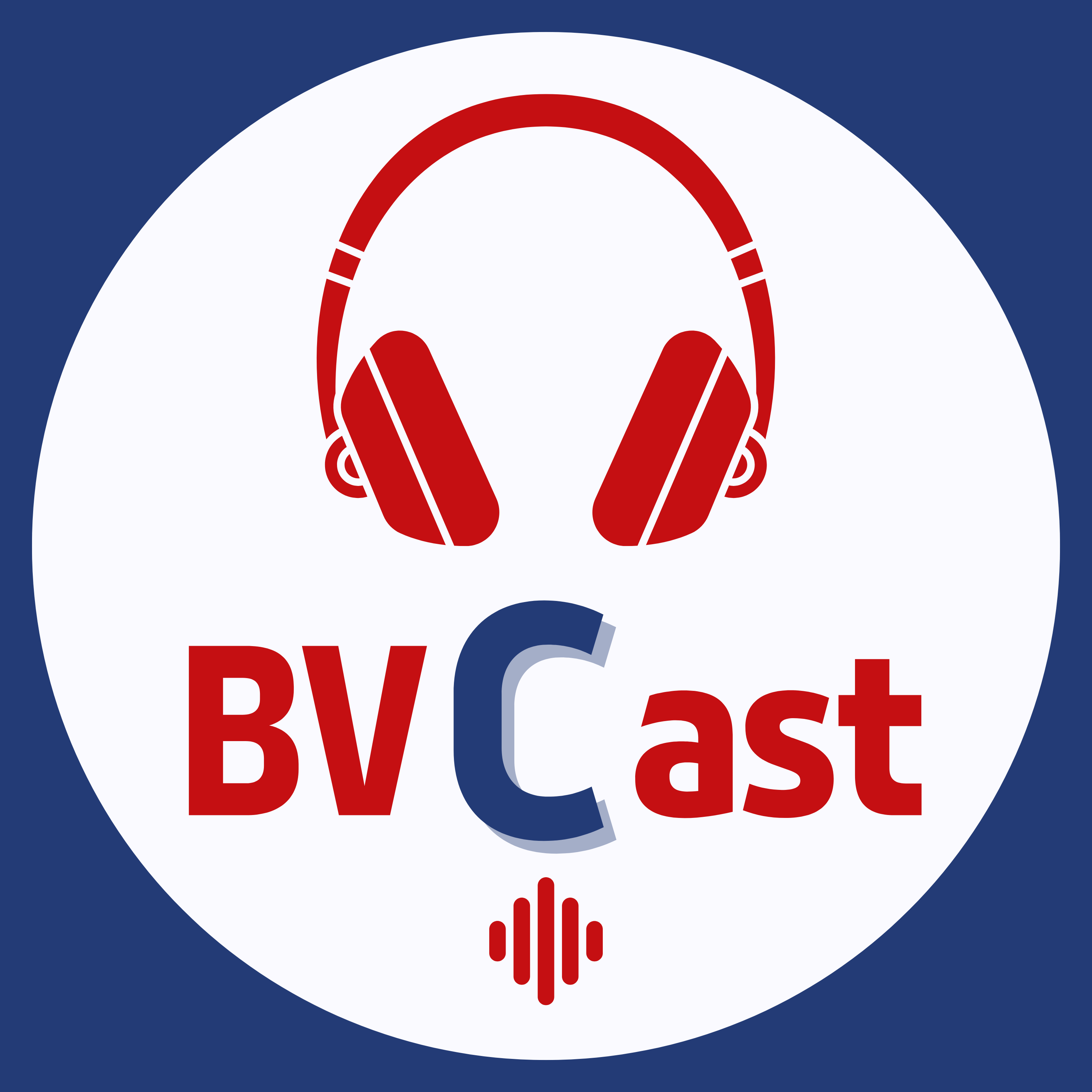 BVCast