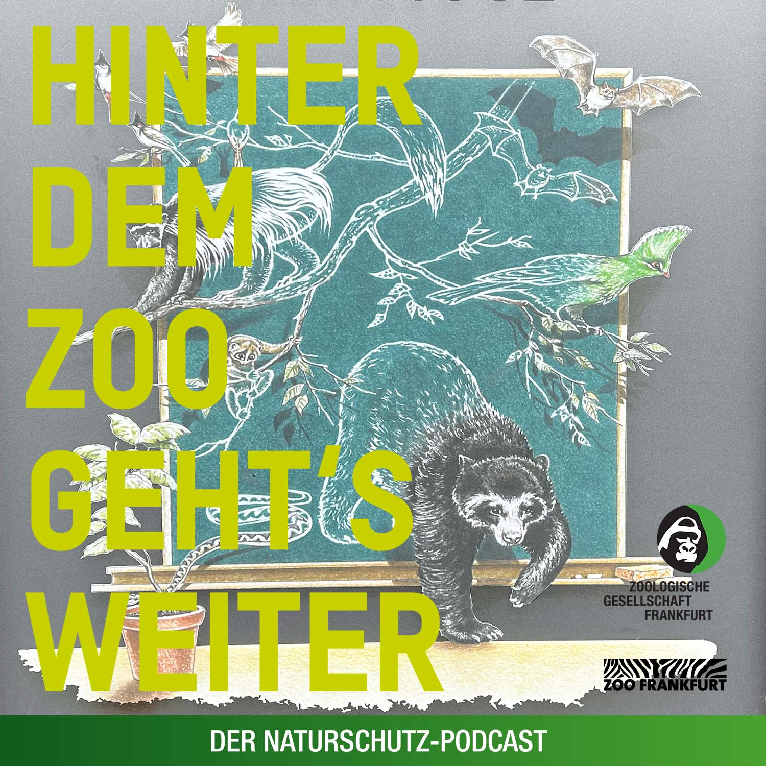 Hinter dem Zoo geht\'s weiter - Der Naturschutzpodcast aus Frankfurt