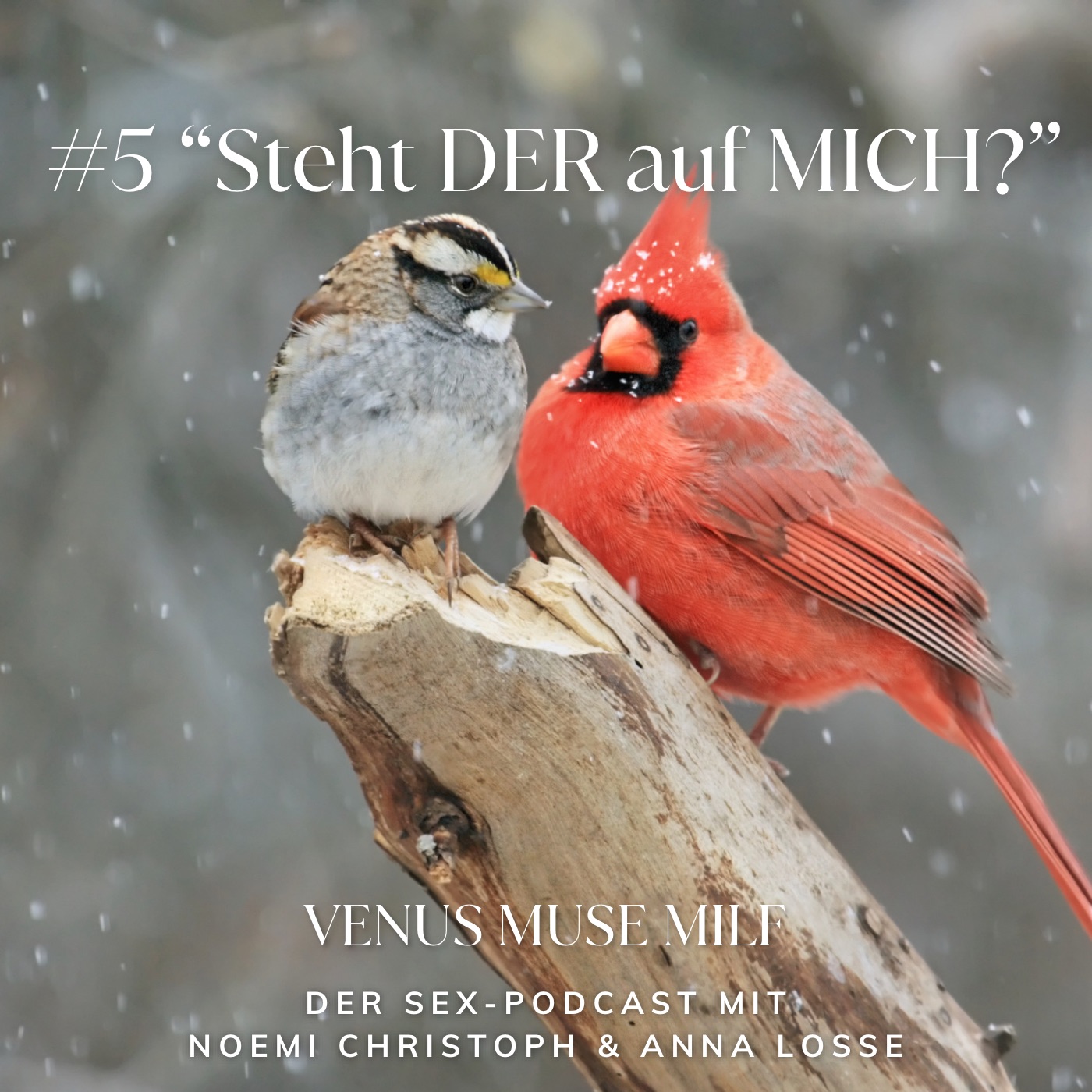 Venus Muse Milf - Sinnlich leben, weibliche Lust und Sex