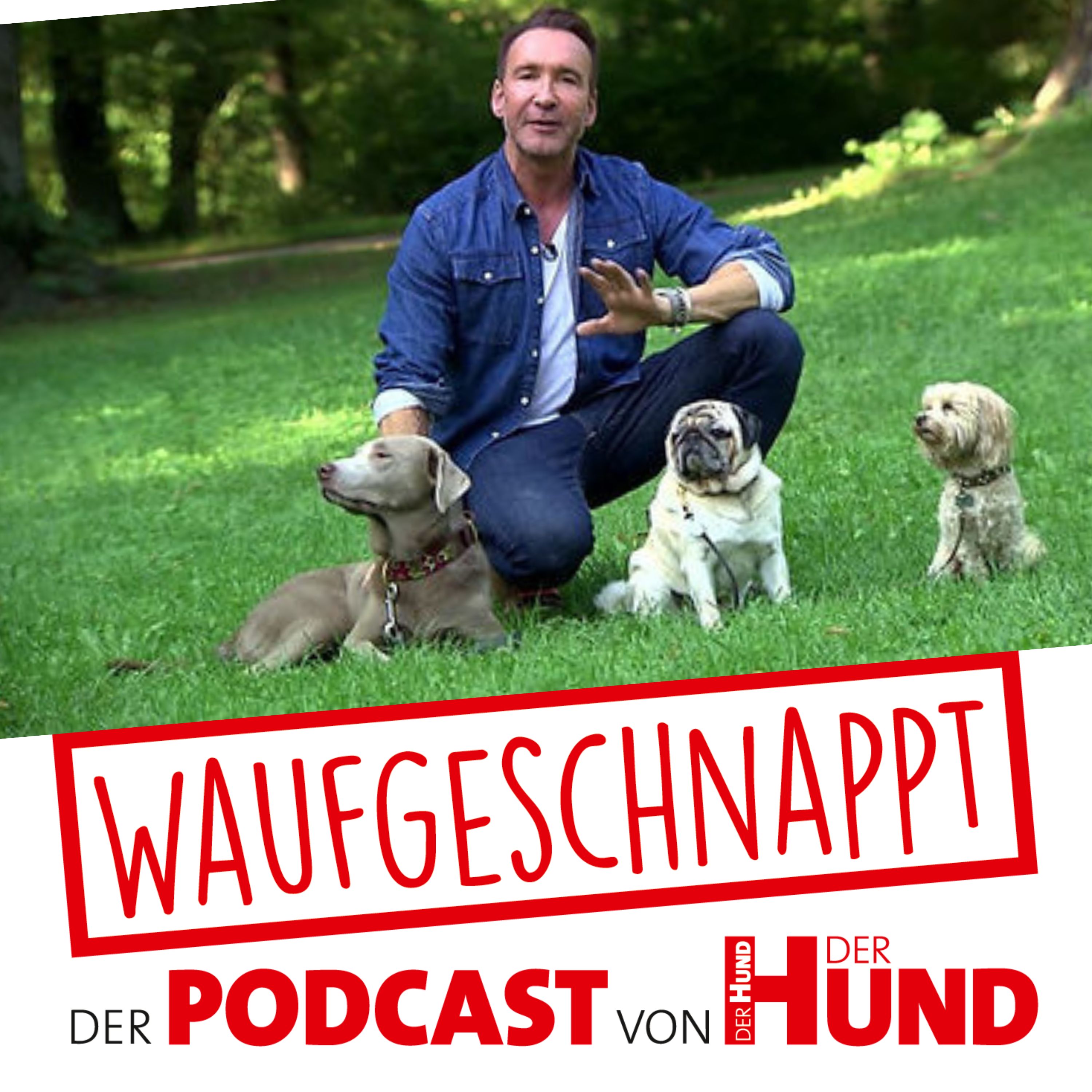 Wie Hunde ihre Menschen spiegeln - Jochen Bendel