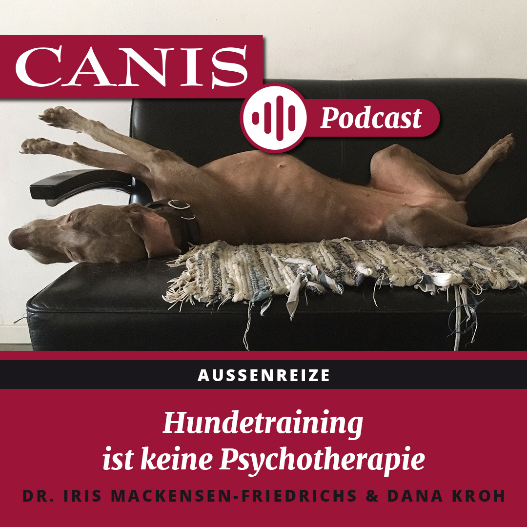 Der CANIS-Podcast – Hundeexpert:innen ausgefragt