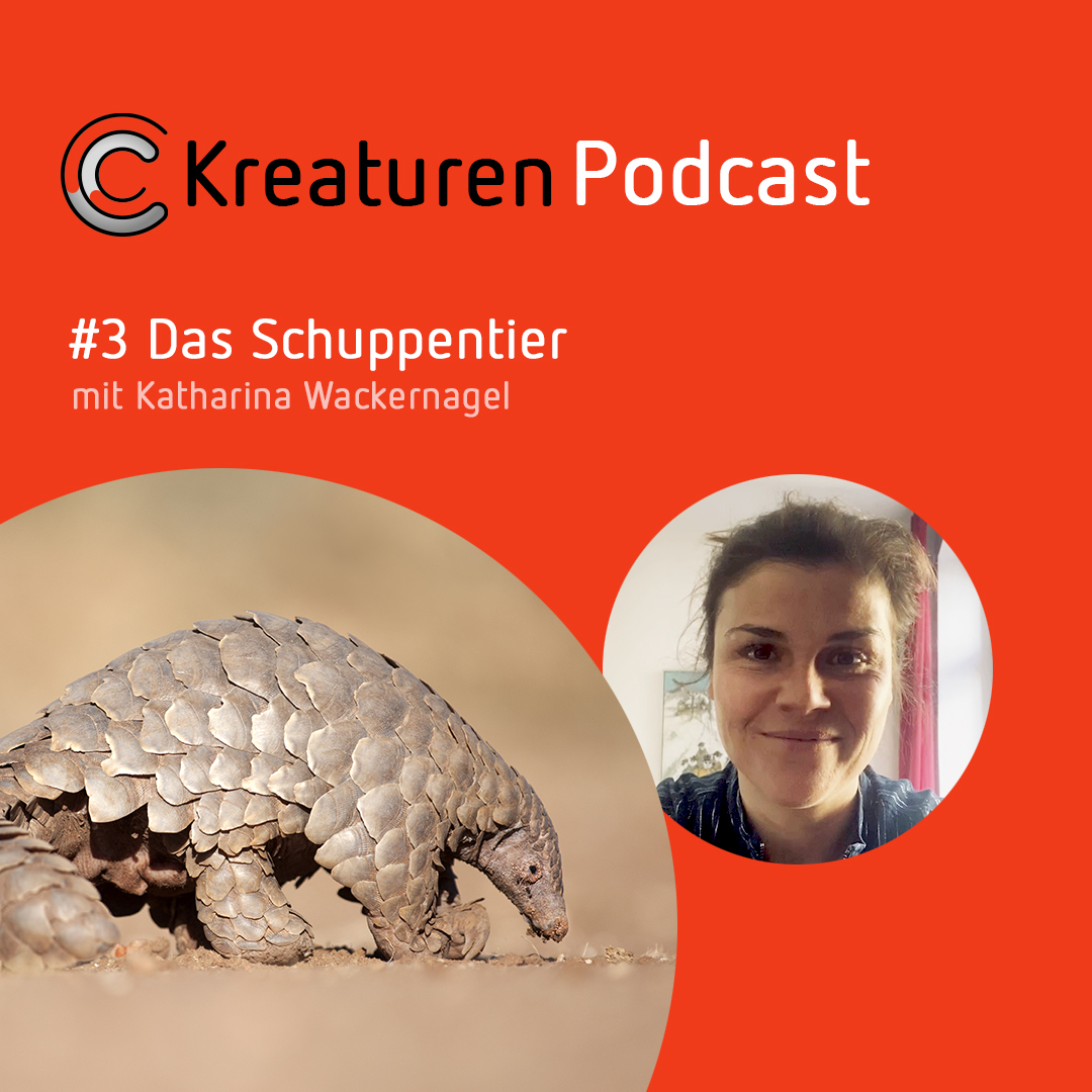 Kreaturen-Podcast - Folge 03: Das Schuppentier mit Katharina Wackernagel episode artwork