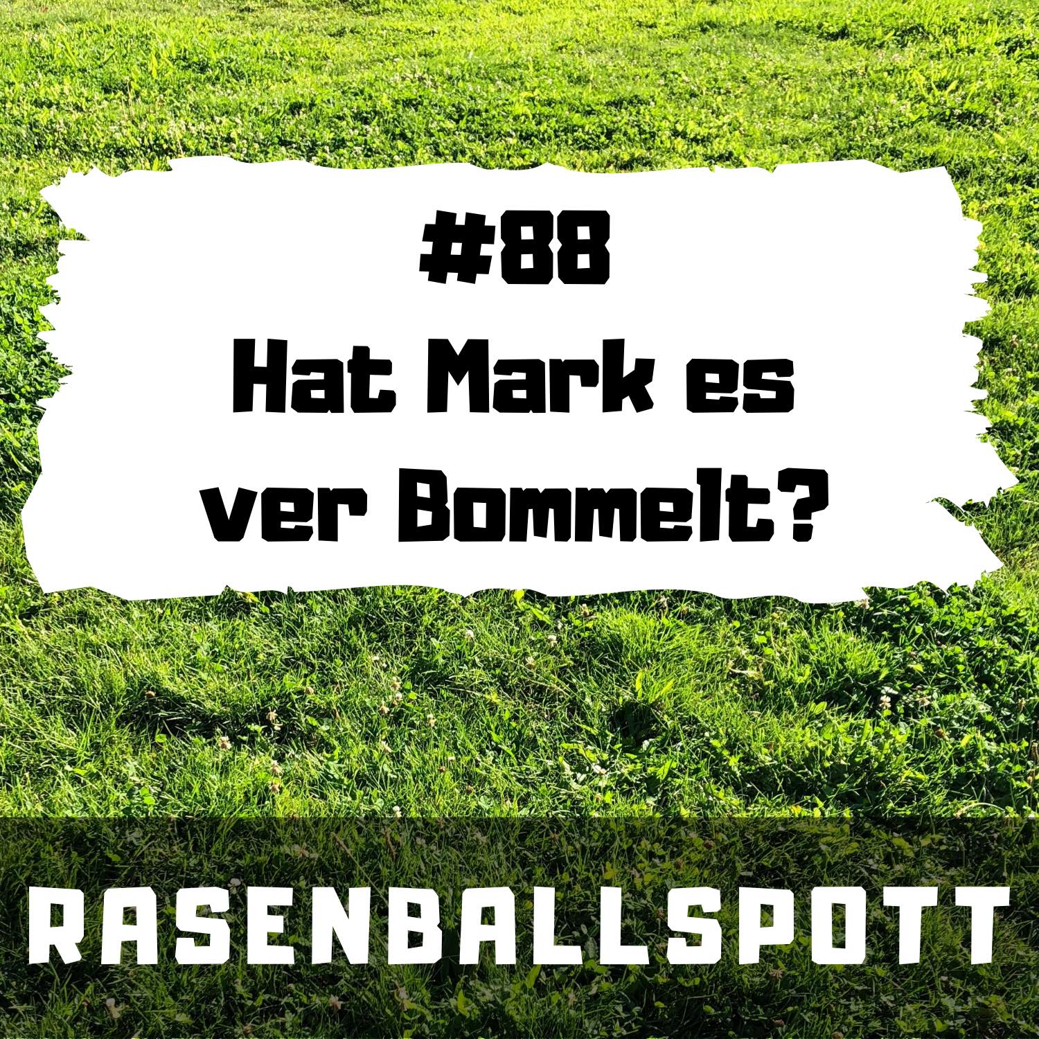 RASENBALLSPOTT