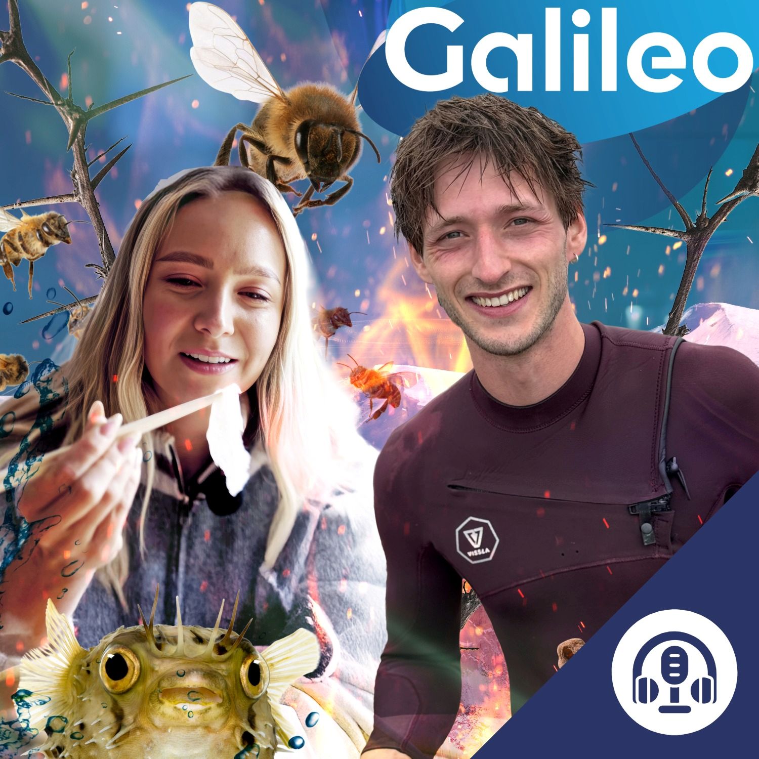 Tarantel-Therapie und halluzinogener Honig episode artwork