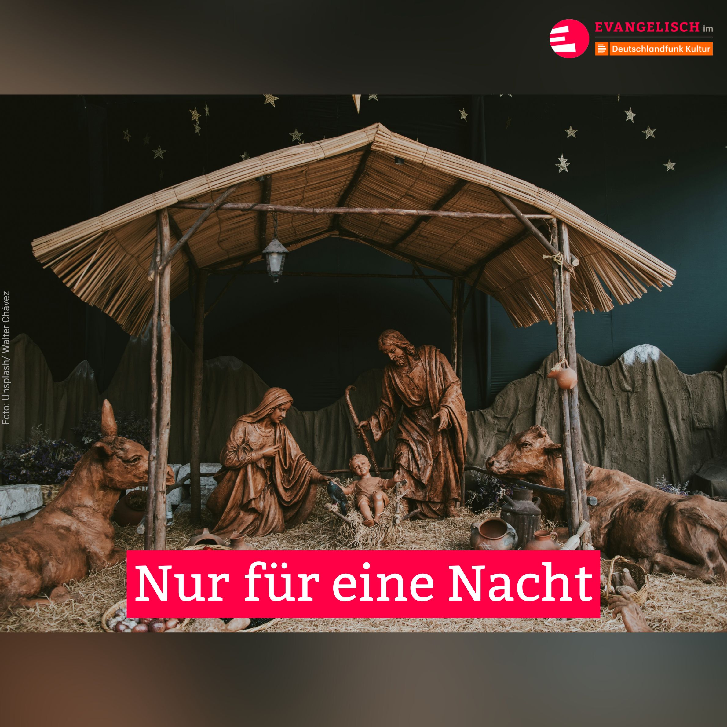 Nur für eine Nacht