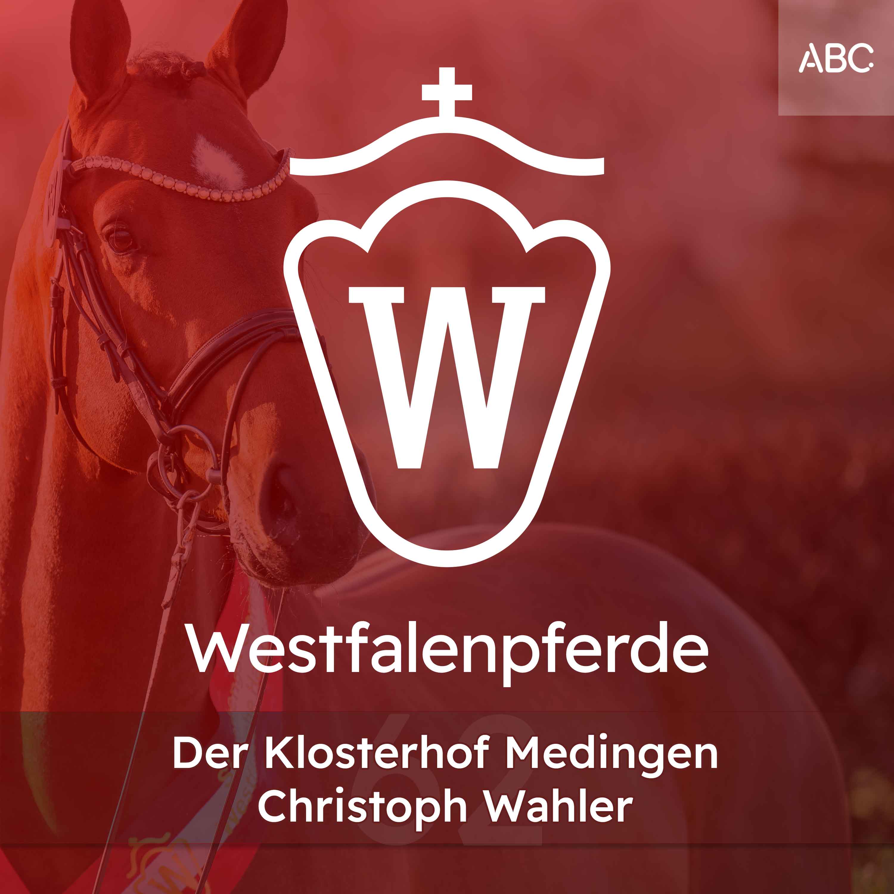 Der Klosterhof Medingen