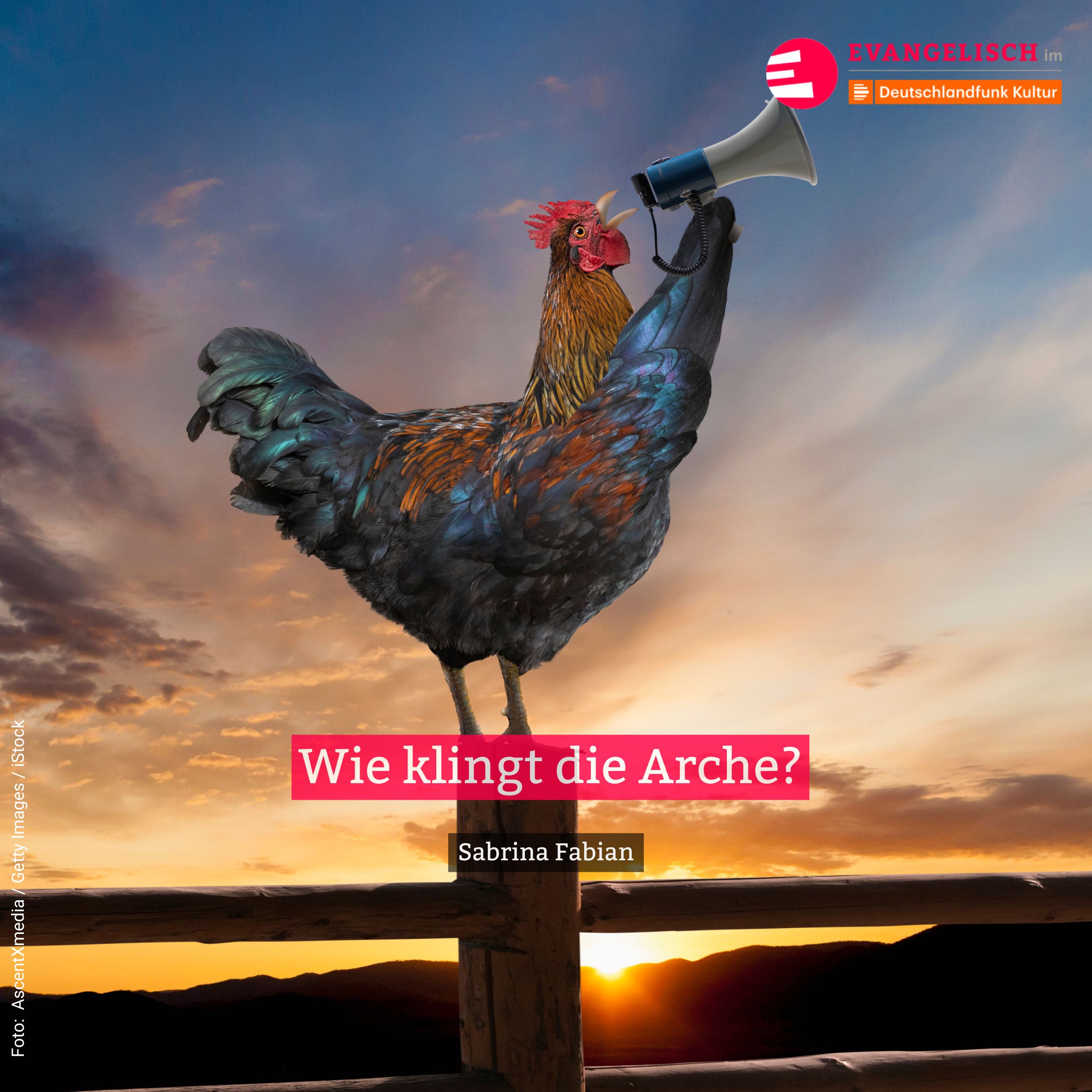 Wie klingt die Arche? episode artwork