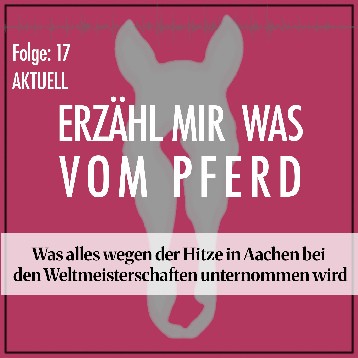#17 AKTUELL Was alles wegen der Hitze in Aachen bei  den Weltmeisterschaften unternommen wird episode artwork