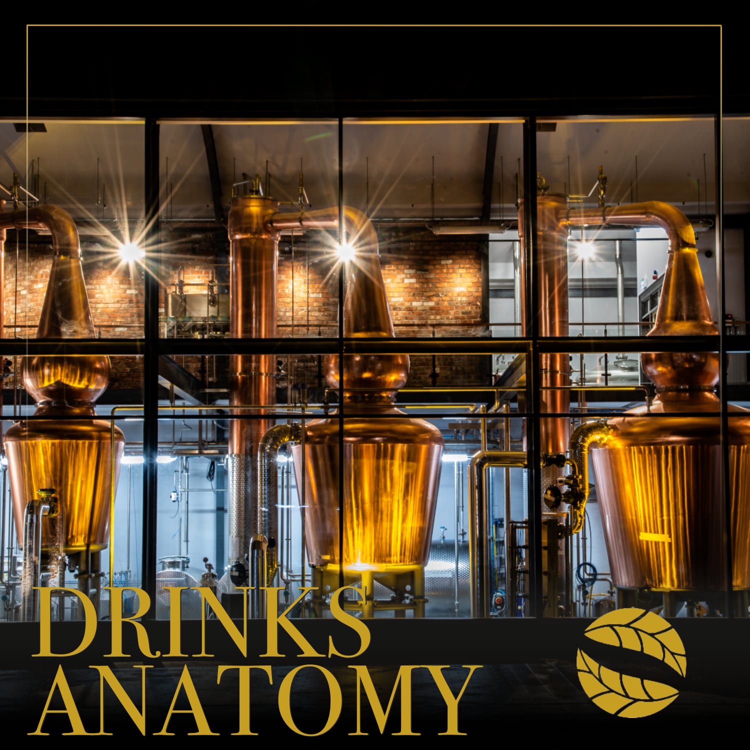 Drinks Anatomy