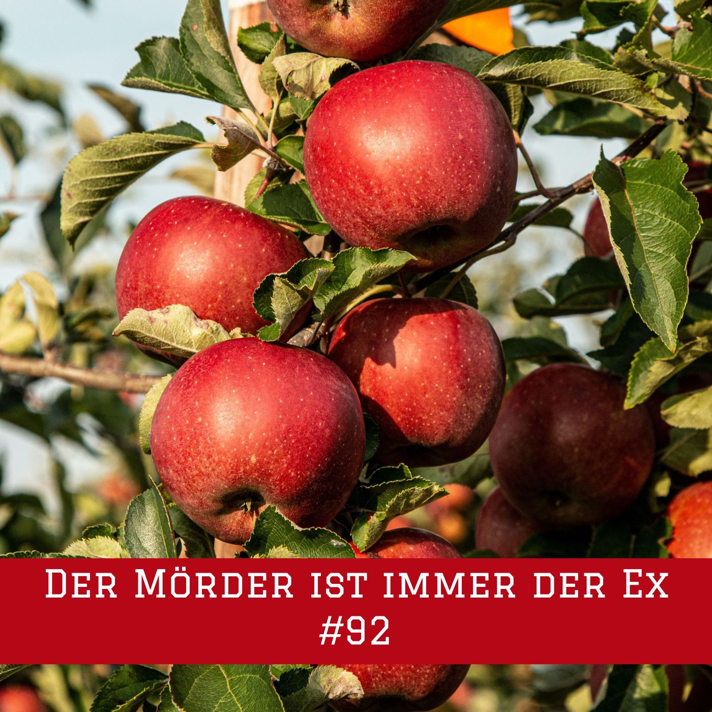 Der literarische Saloon