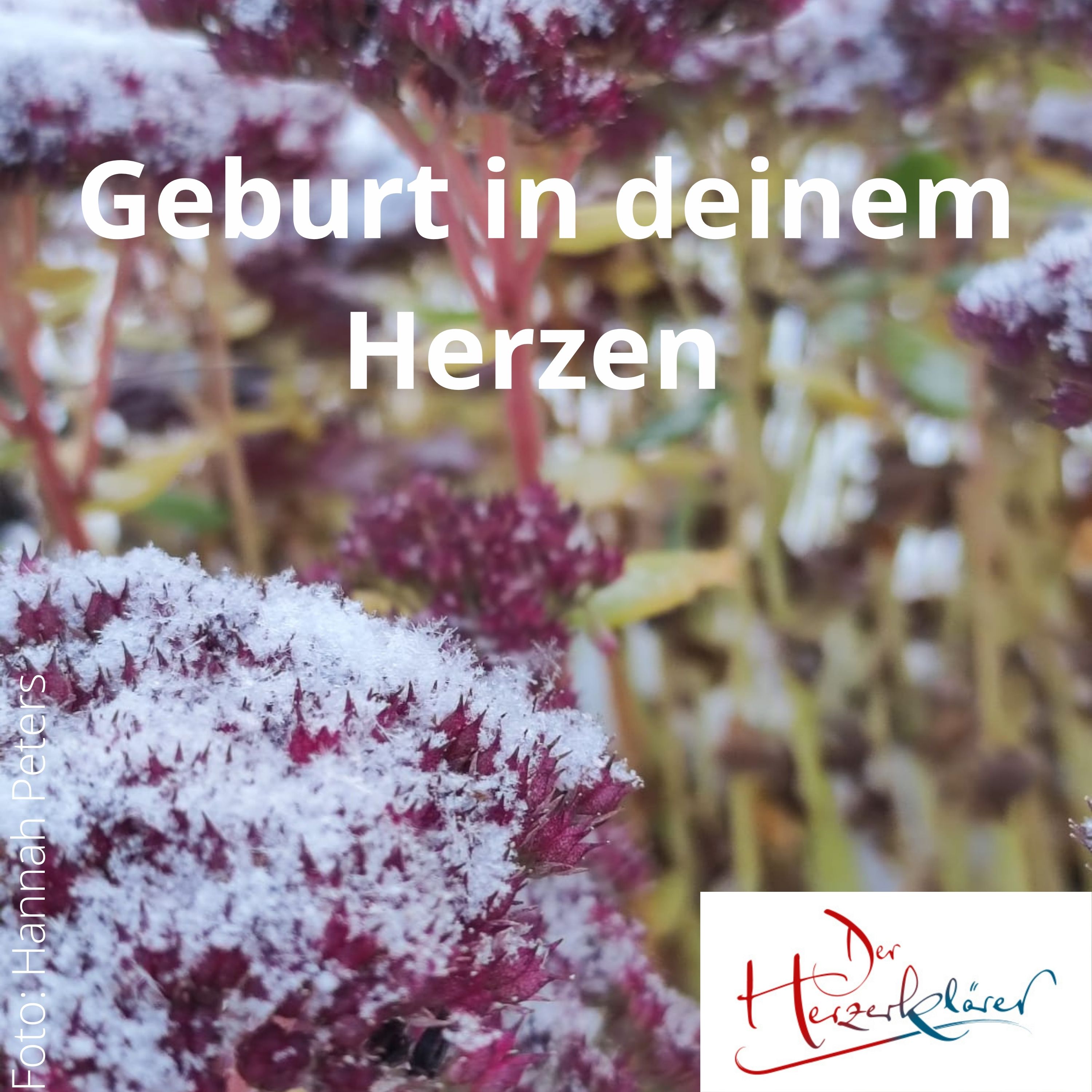 Der Herzerklärer