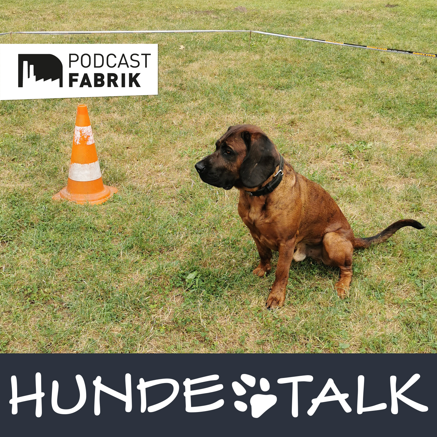 HUNDETALK - Dein Hunderunde-Podcast