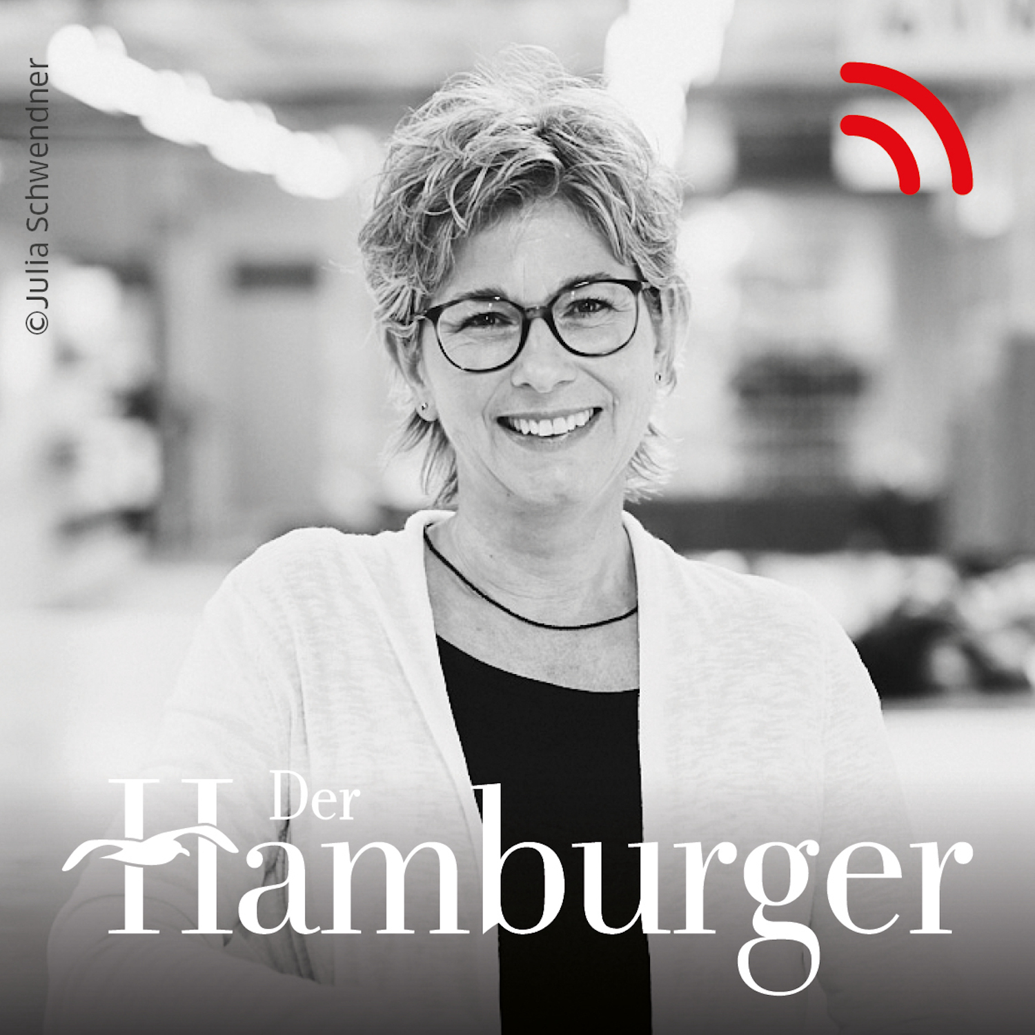 DER HAMBURGER Inside. Stimmen dieser Stadt