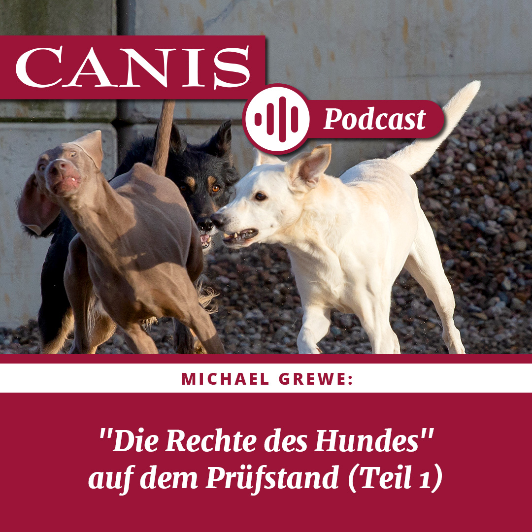 Der CANIS-Podcast – Hundeexpert:innen ausgefragt