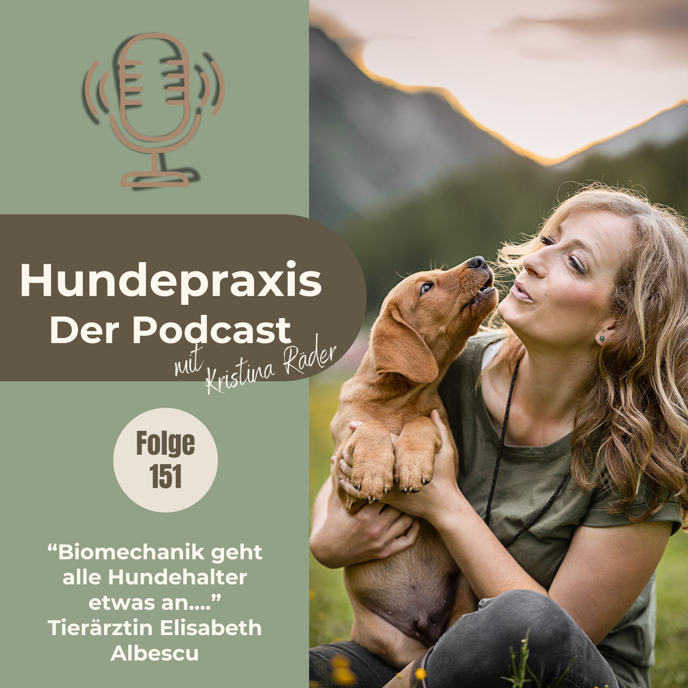 Biomechanik geht alle Hundehalter etwas an episode artwork
