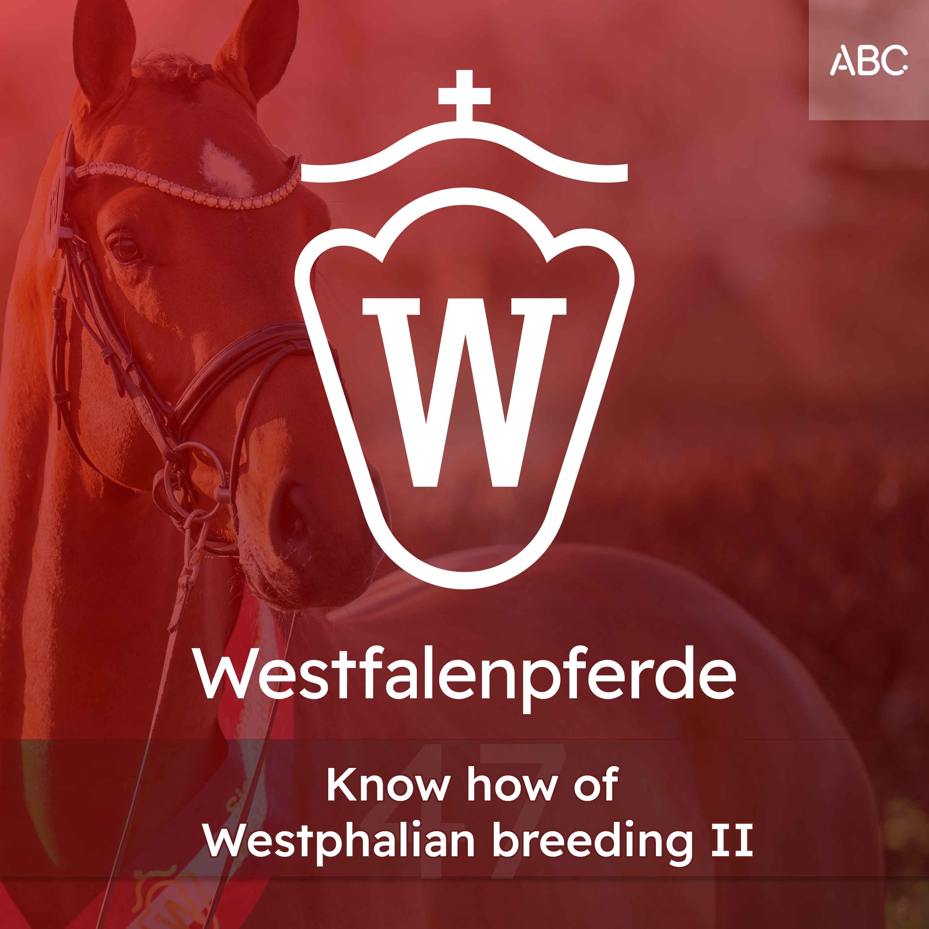 Westfalenpferde - Der Podcast