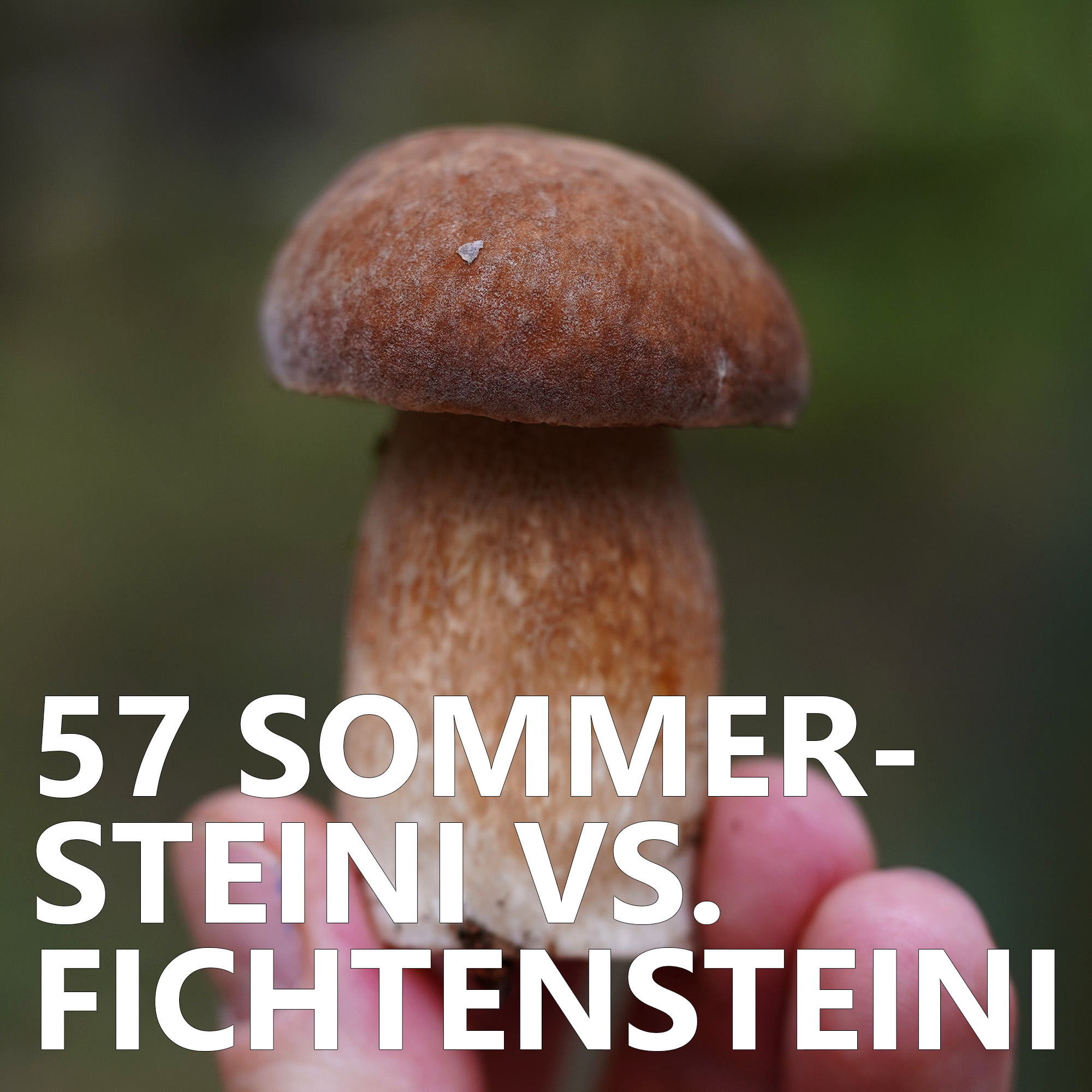 Der Pilzpodcast