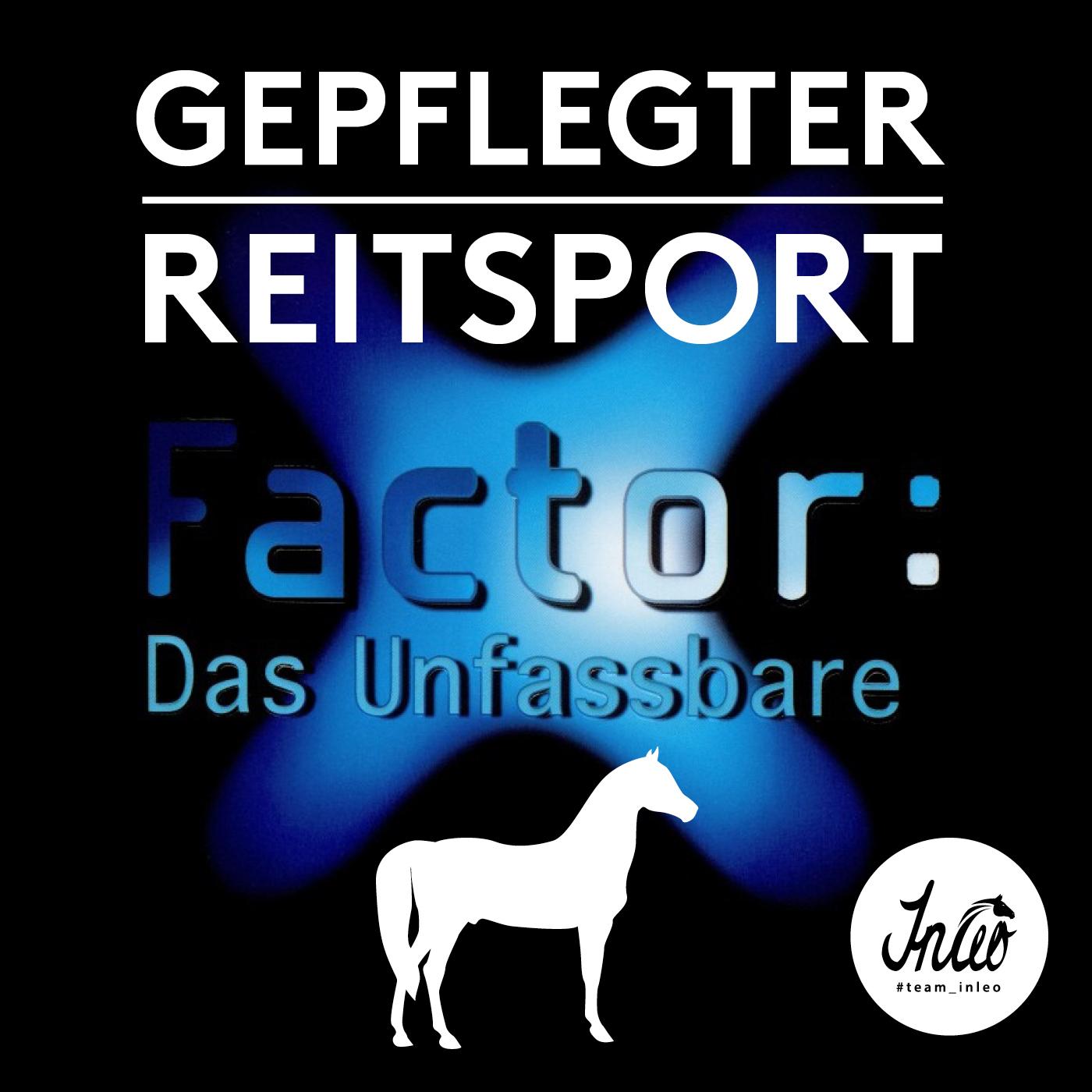 Gepflegter Reitsport