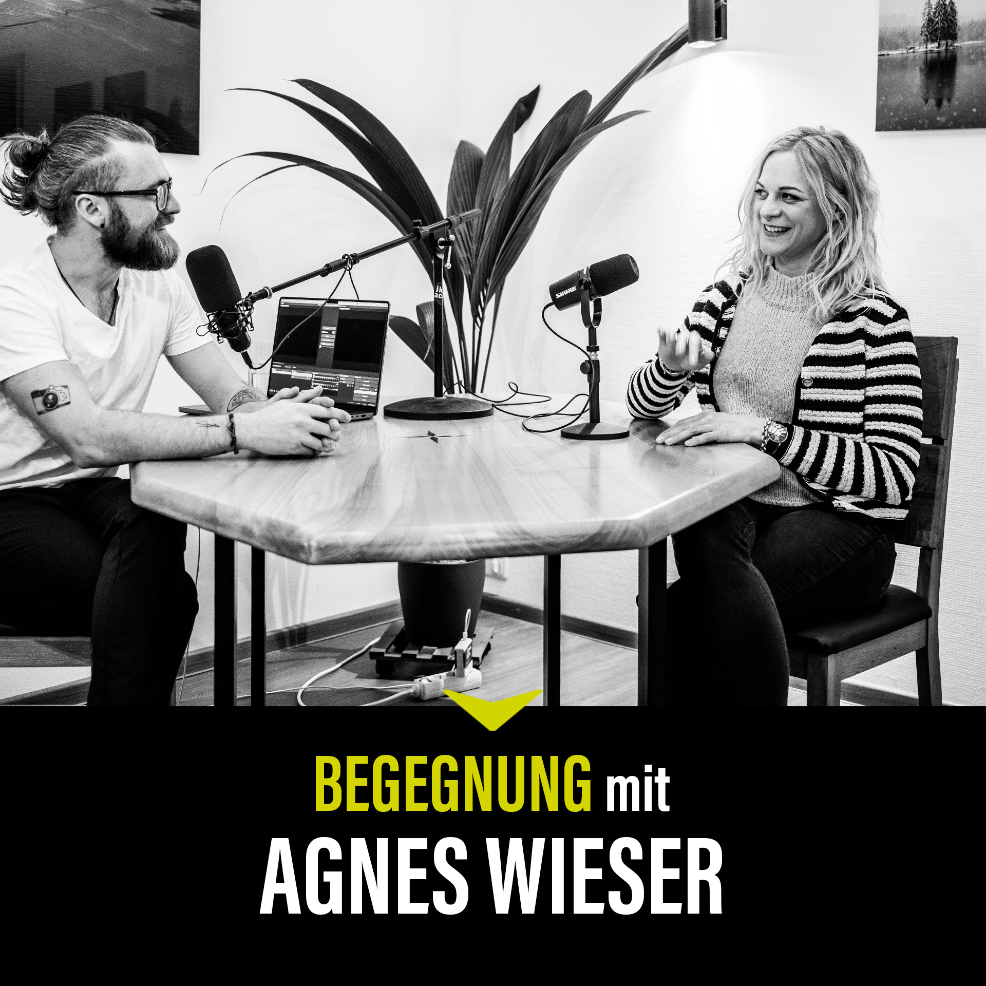 Wie entsteht Kreativität? Die #Begegnung mit der Künstlerin Agnes Wieser episode artwork