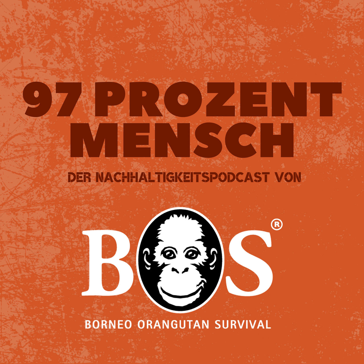 Podcast 97 Prozent Mensch - der Nachhaltigkeitspodcast von Borneo Orangutan Survival Deutschland